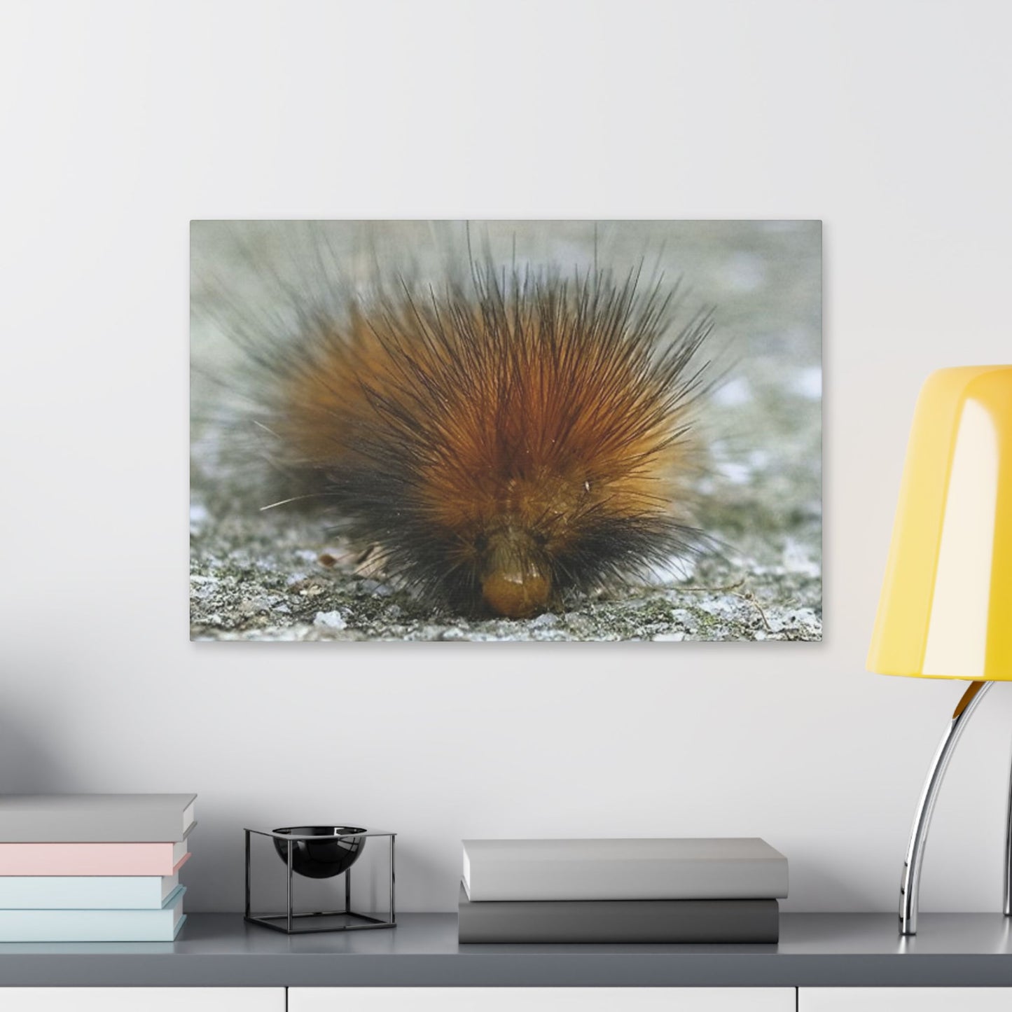 Classic Stretched Canvas - Platypillar
