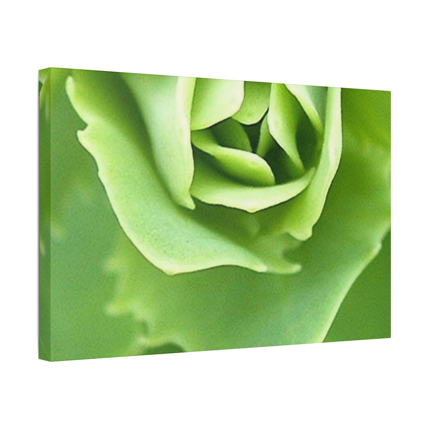 Classic Stretched Canvas