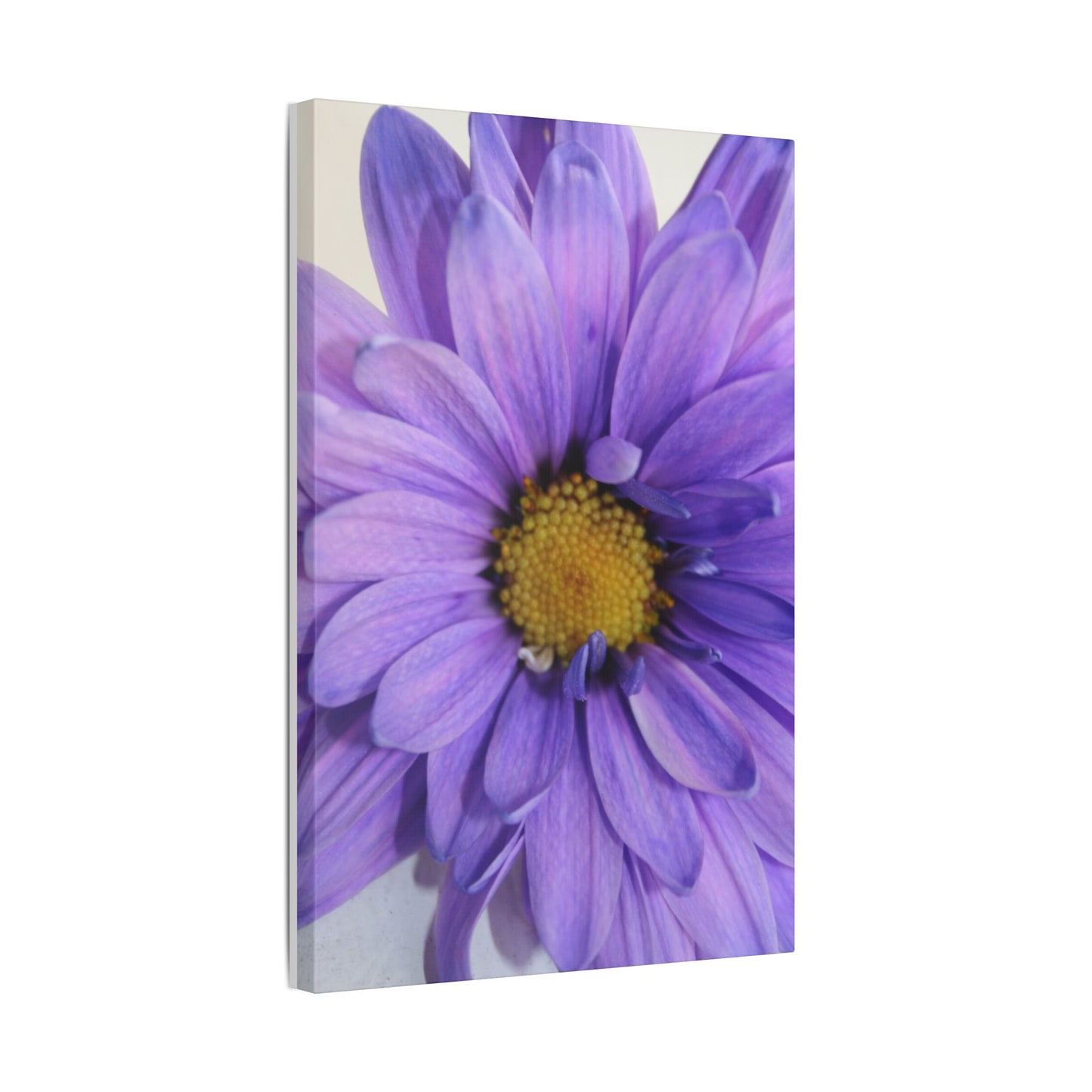 Classic Stretched Canvas