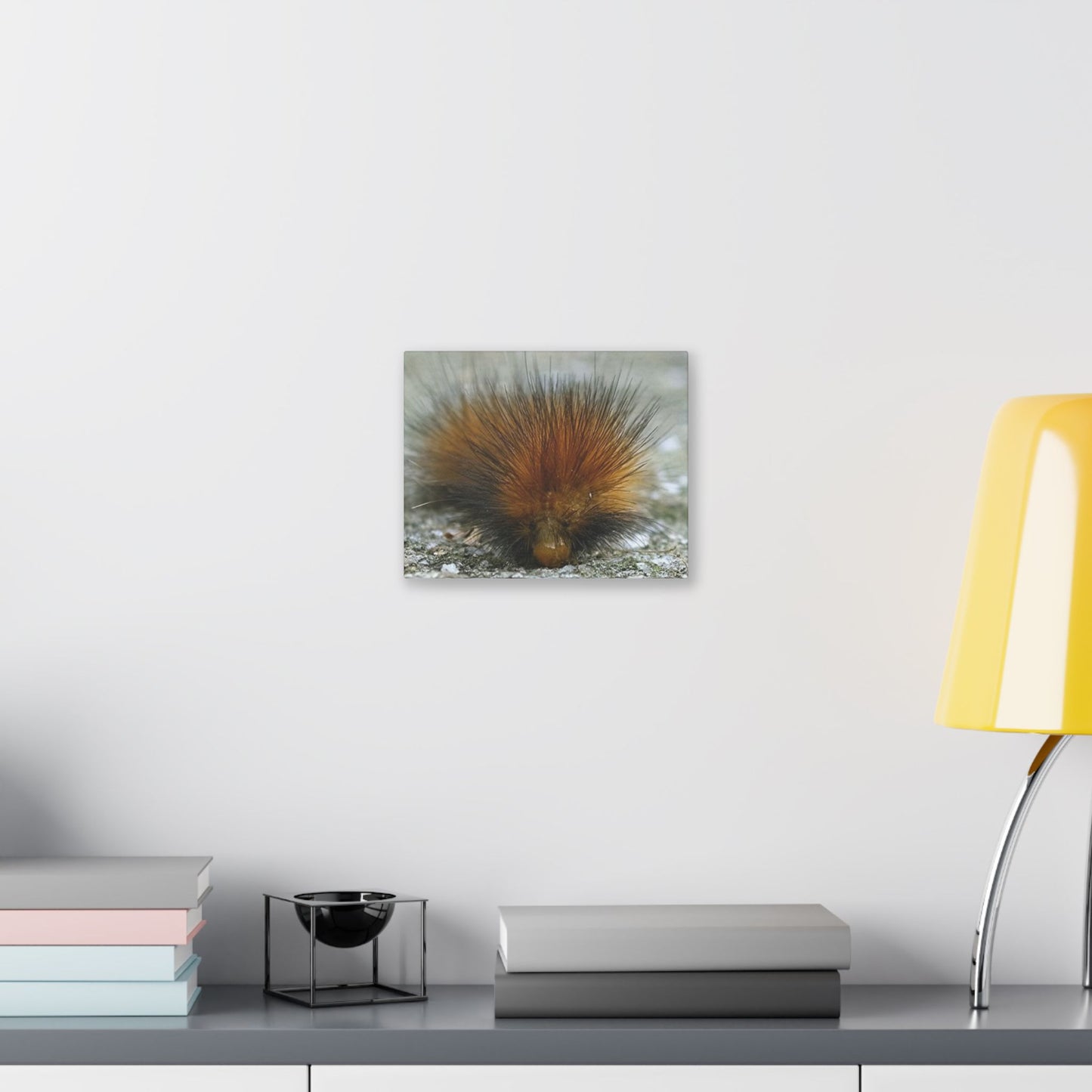 Classic Stretched Canvas - Platypillar