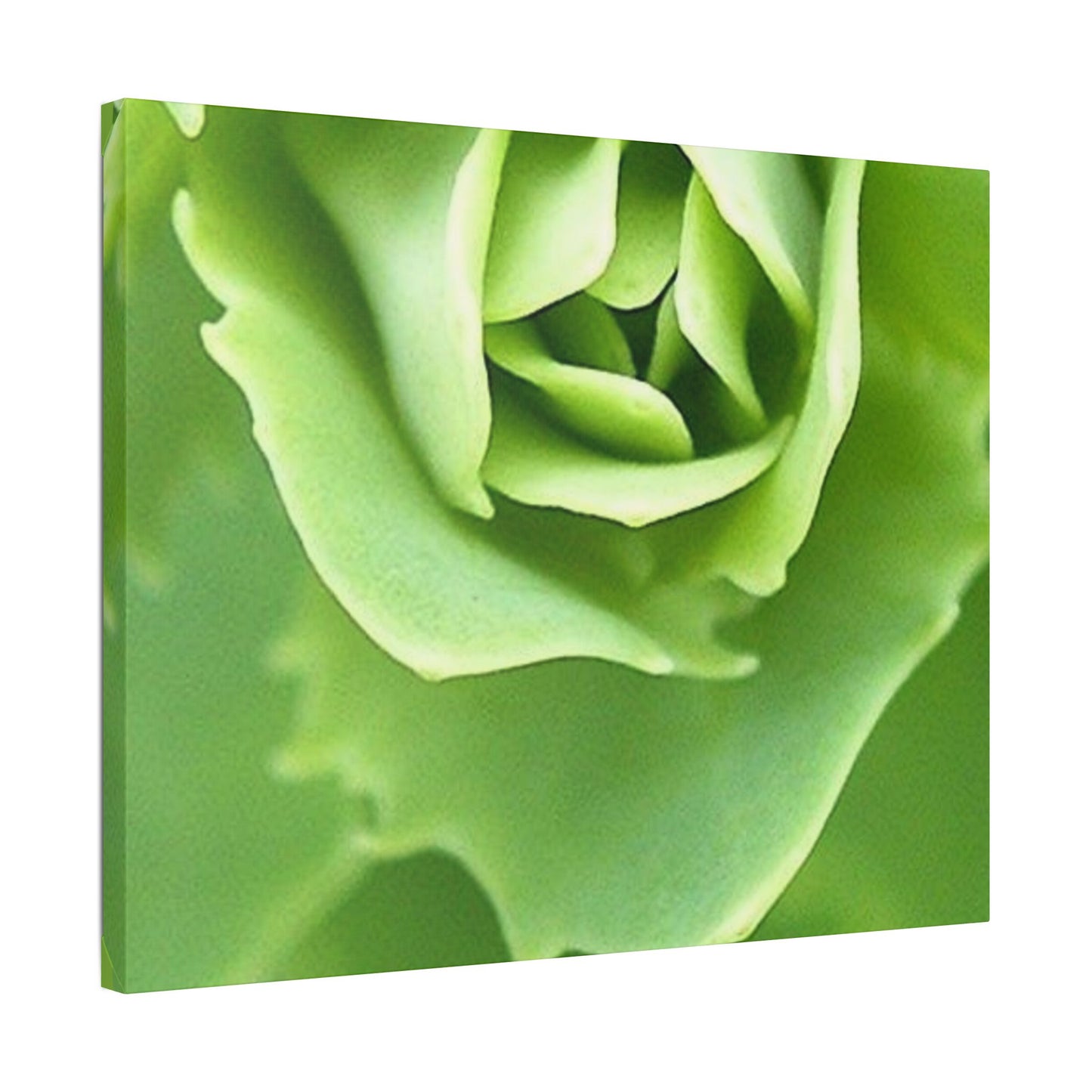 Classic Stretched Canvas
