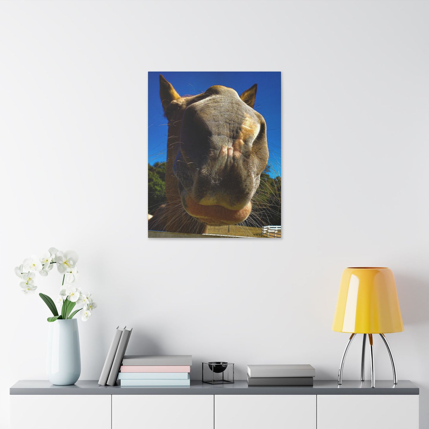 Classic Stretched Canvas - Its A Horse Of Course