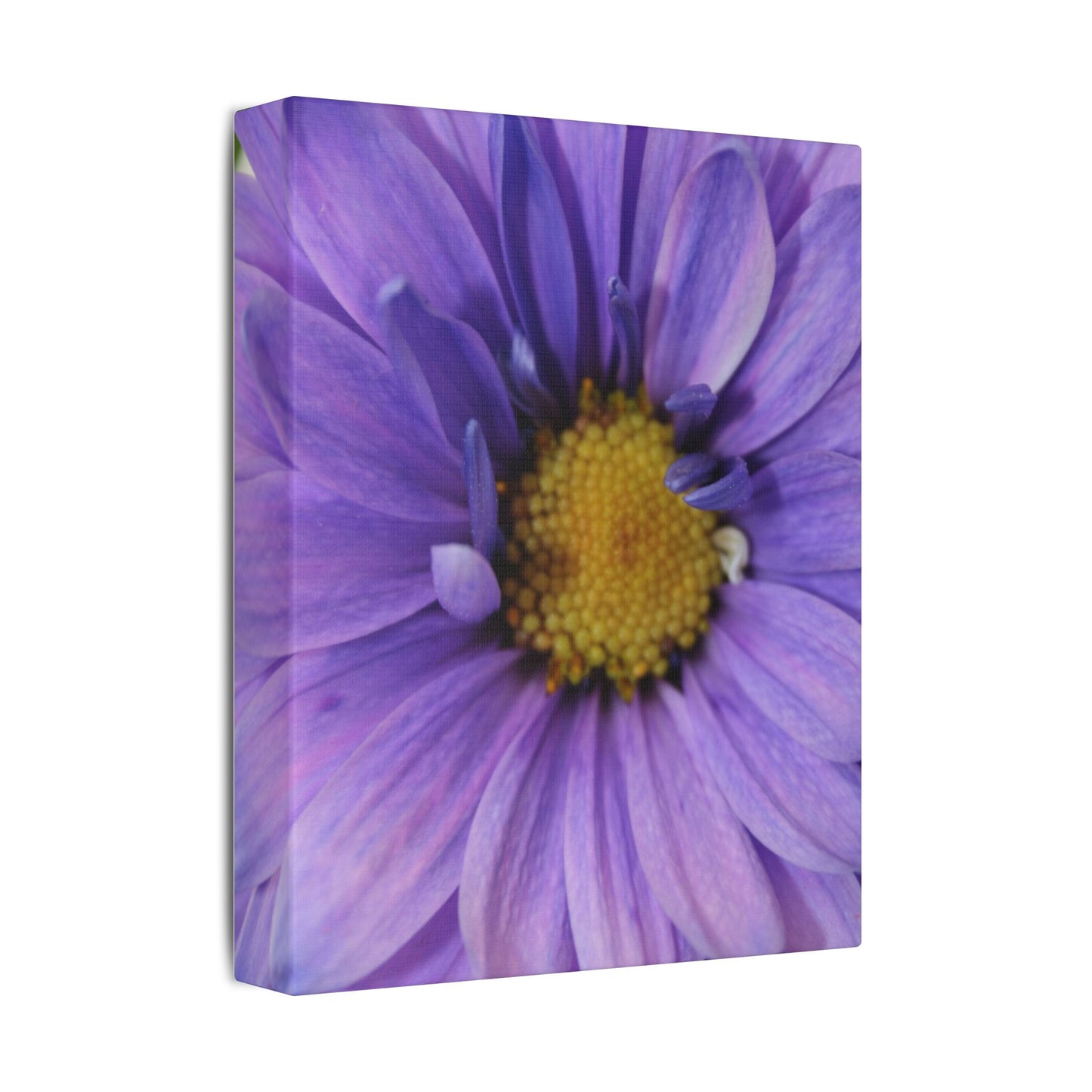 Classic Stretched Canvas