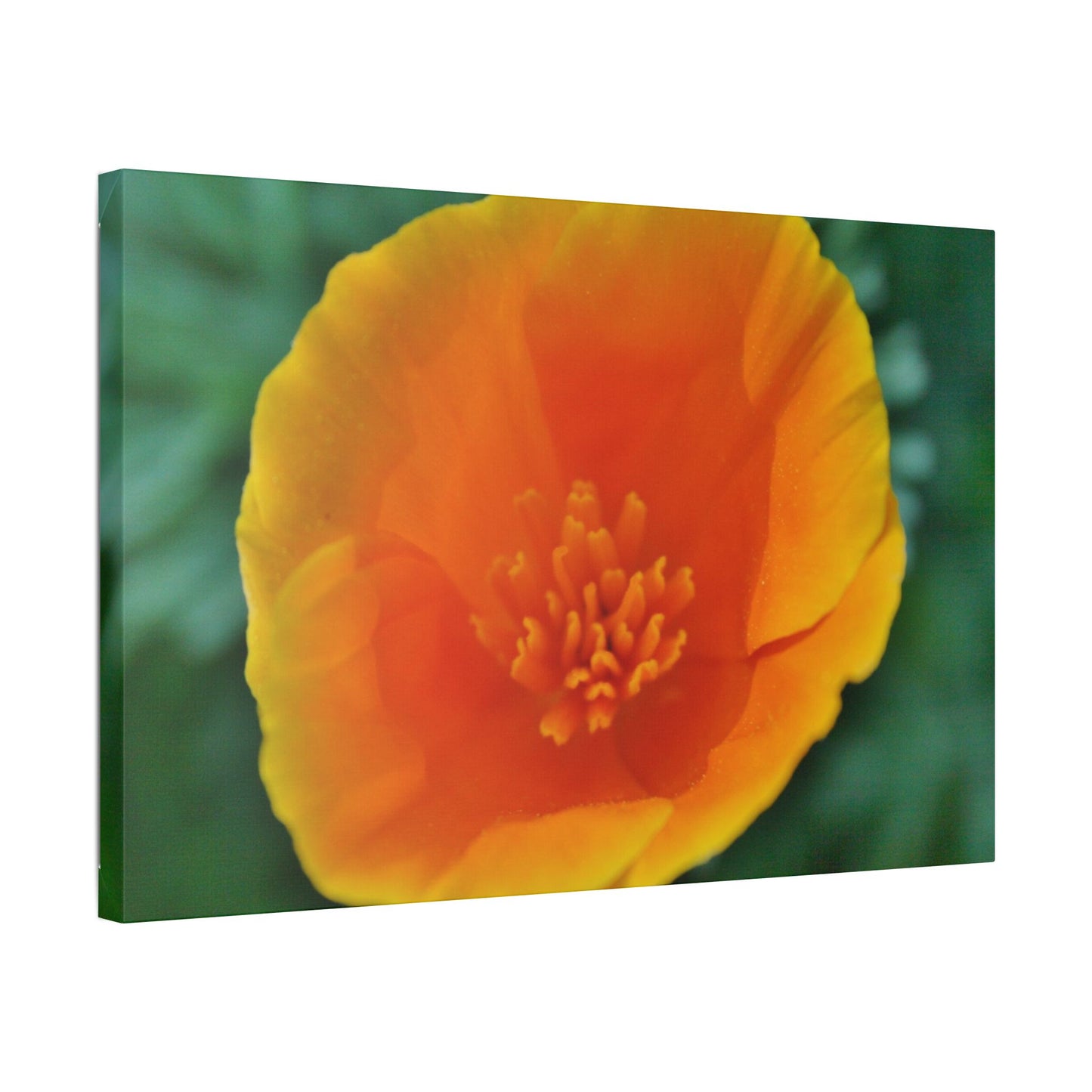 Classic Stretched Canvas