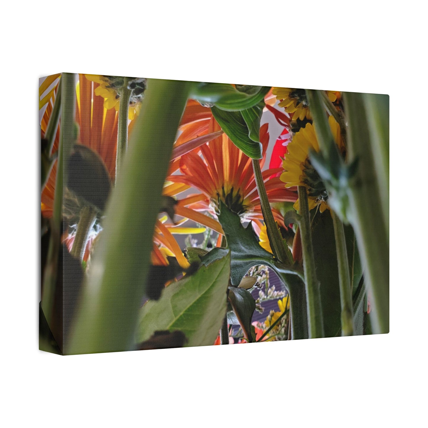 Classic Stretched Canvas