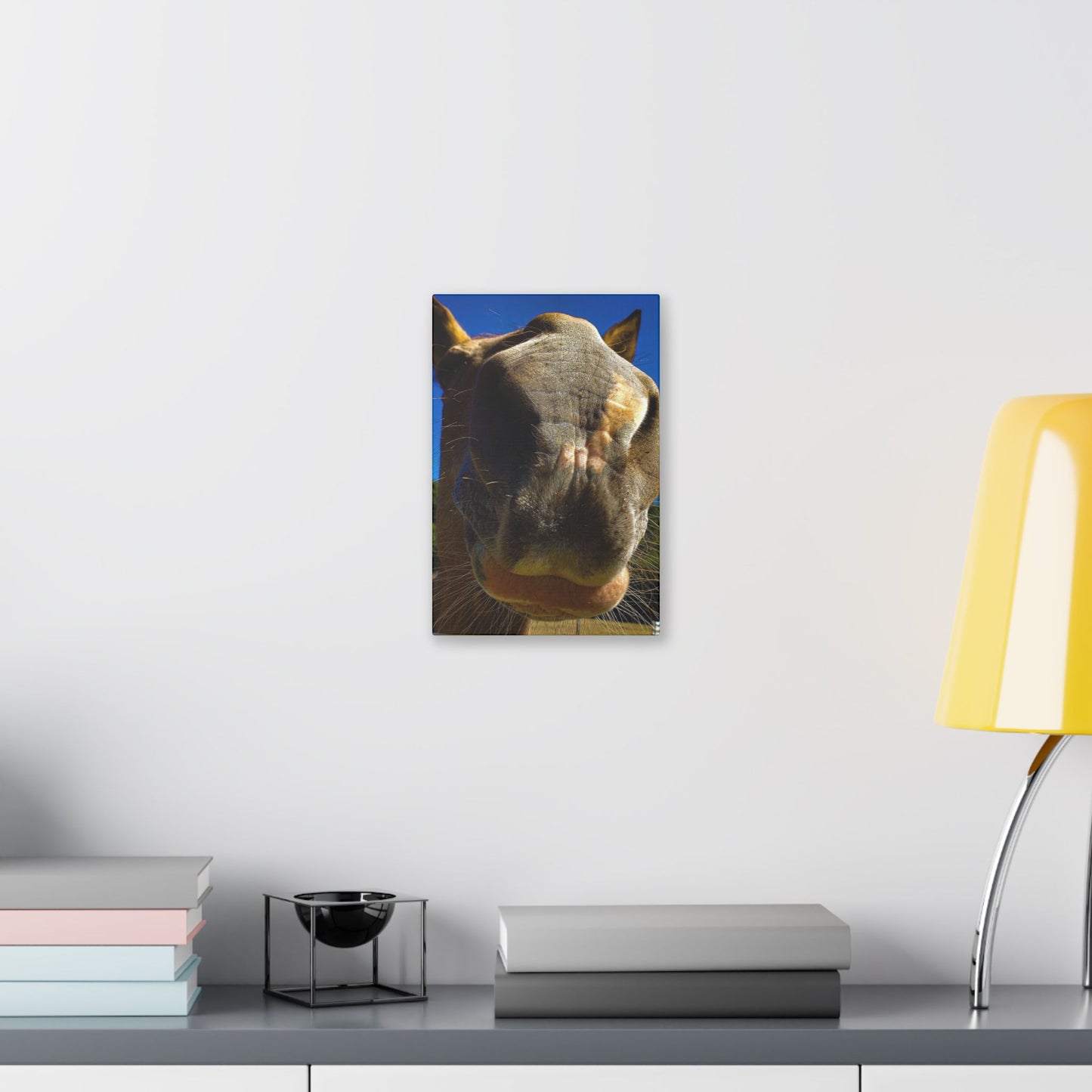 Classic Stretched Canvas - Its A Horse Of Course