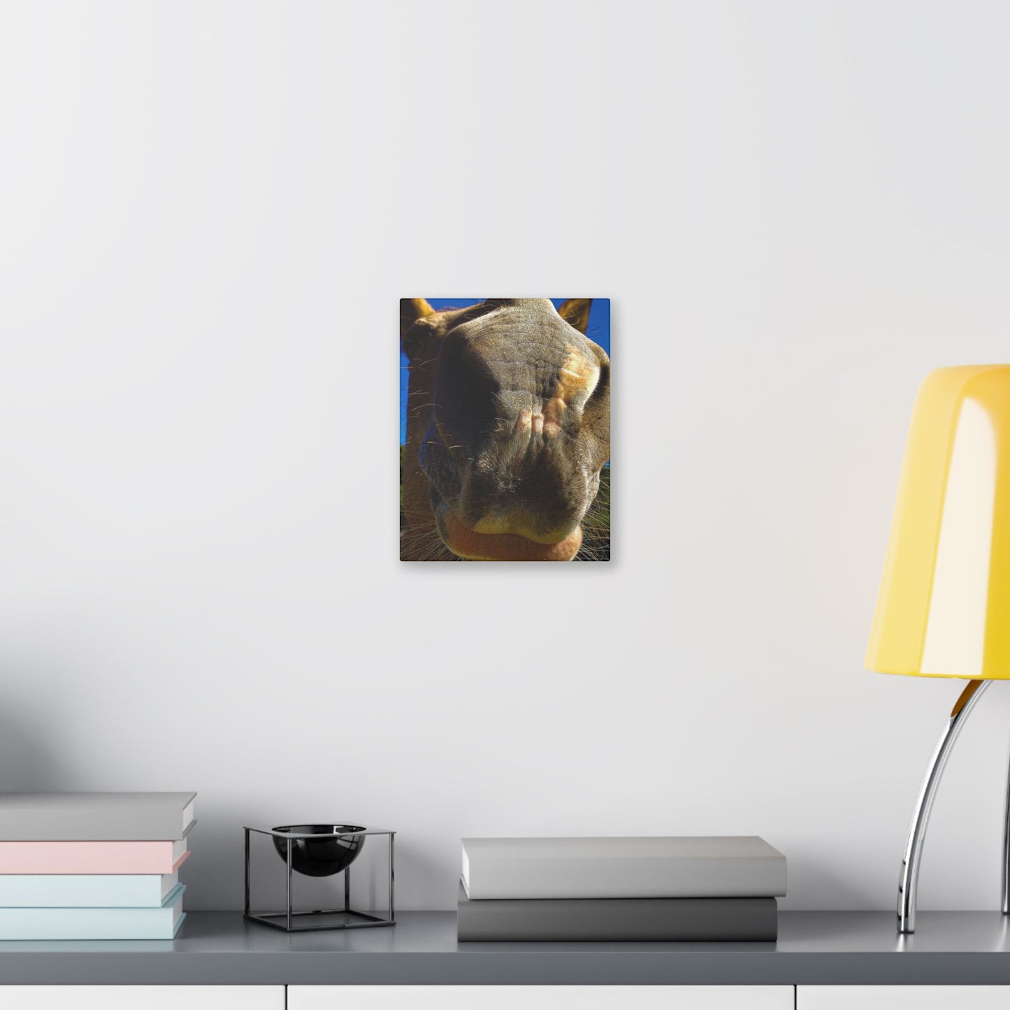 Classic Stretched Canvas - Its A Horse Of Course