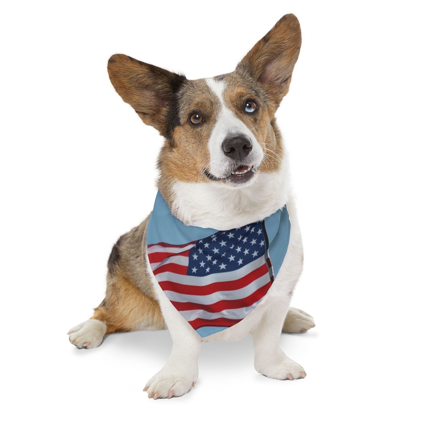 Pet Bandana Collar - USA Flag