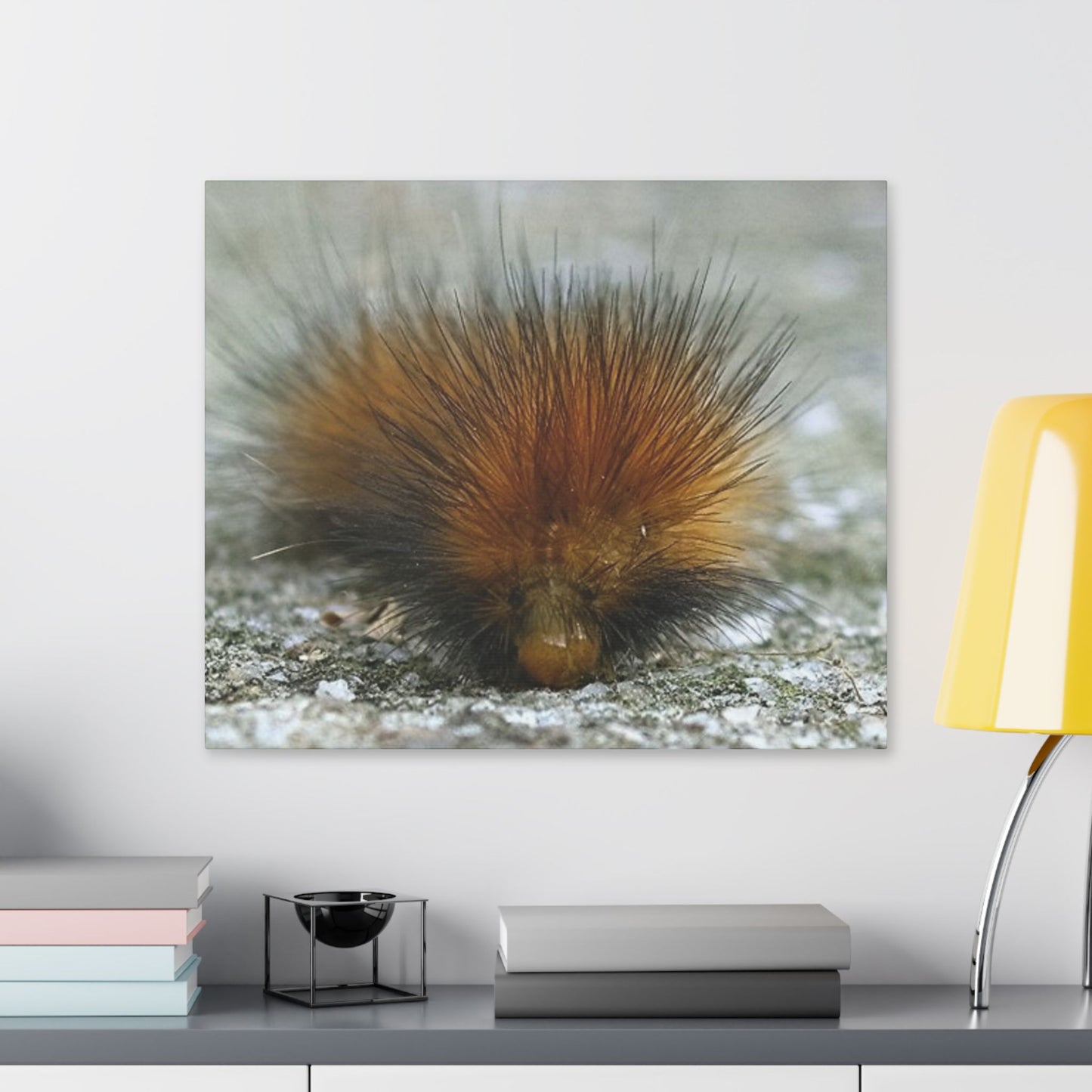 Classic Stretched Canvas - Platypillar