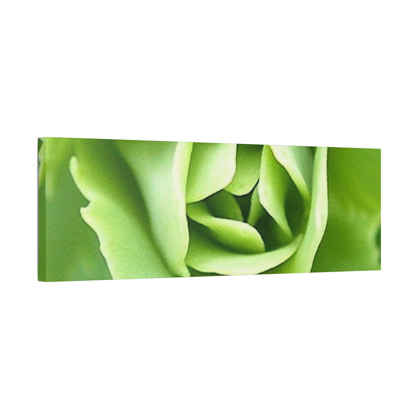 Classic Stretched Canvas