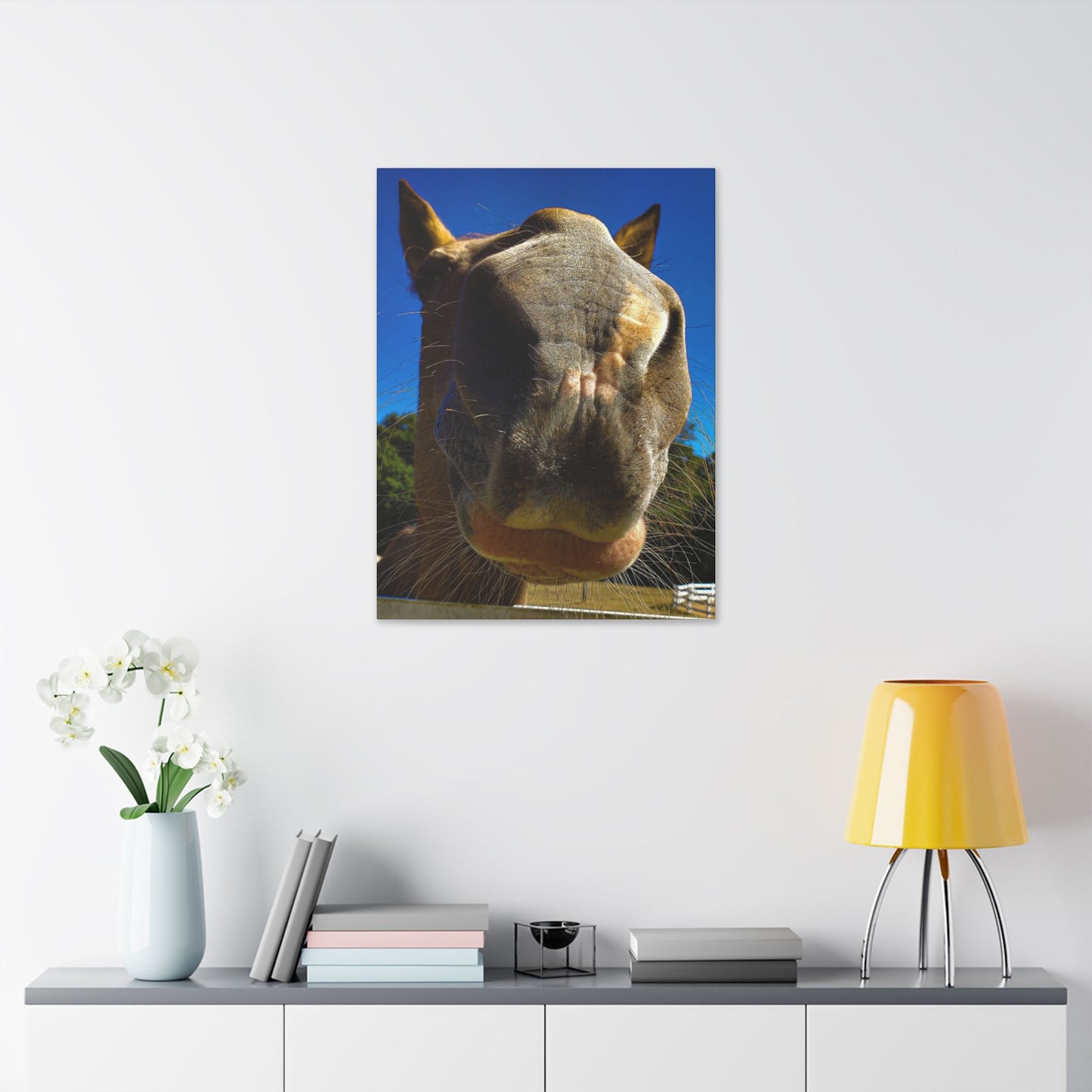 Classic Stretched Canvas - Its A Horse Of Course
