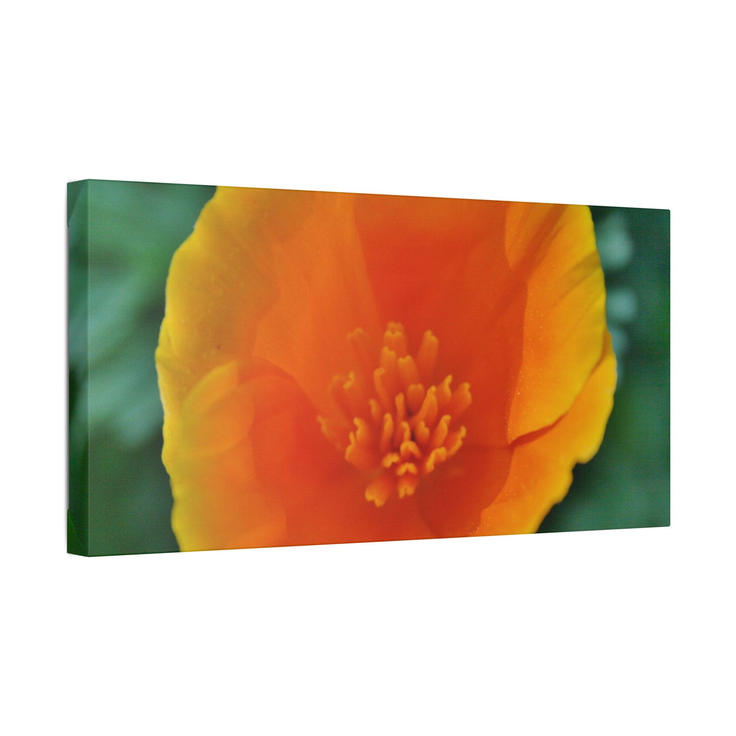 Classic Stretched Canvas