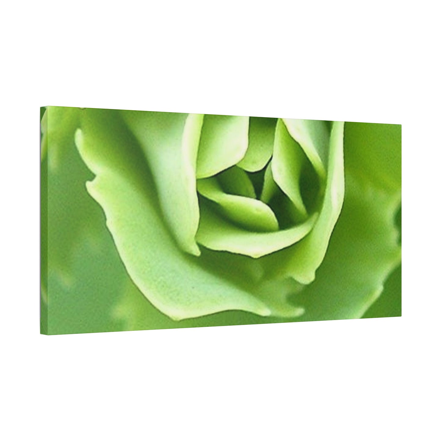 Classic Stretched Canvas