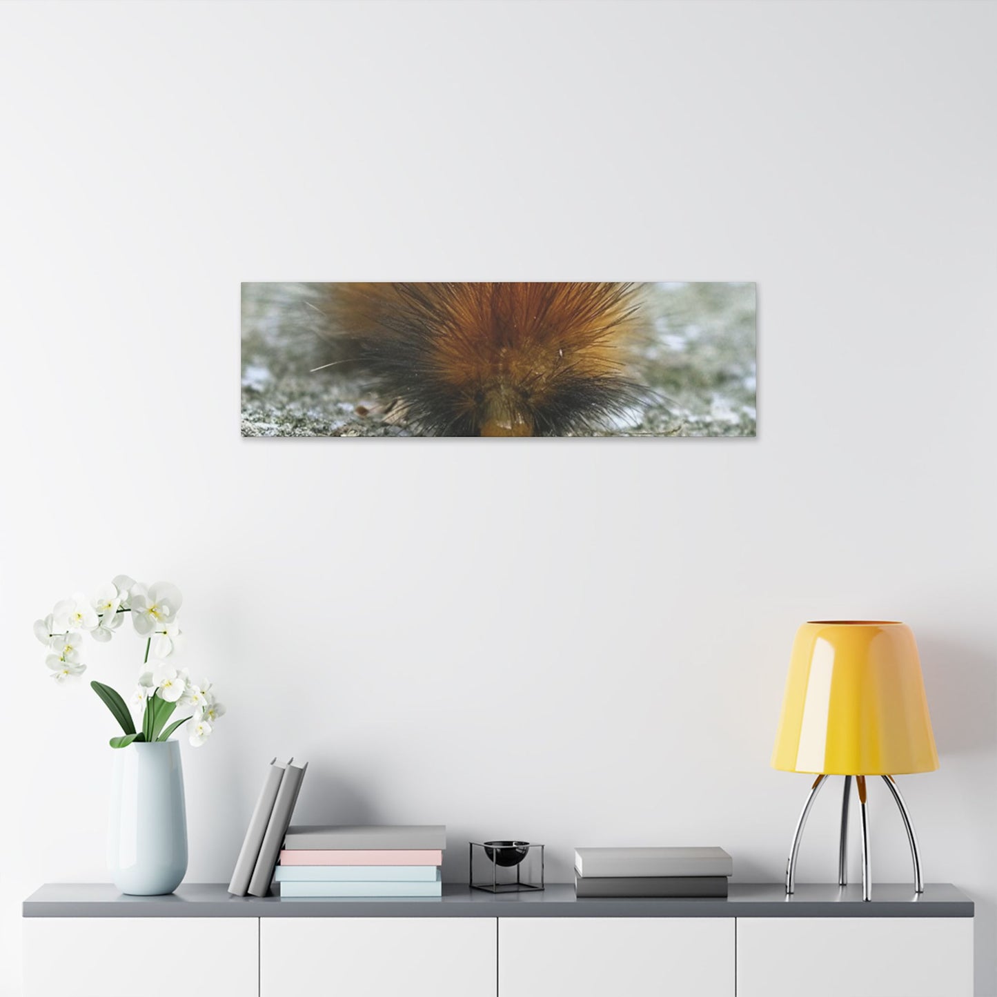 Classic Stretched Canvas - Platypillar