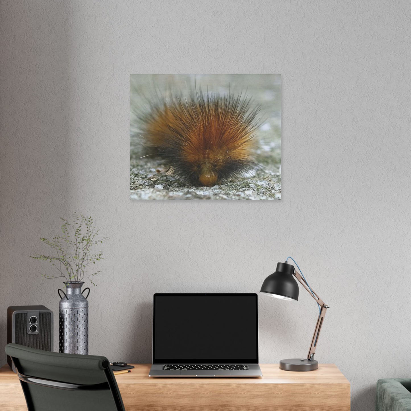 Classic Stretched Canvas - Platypillar