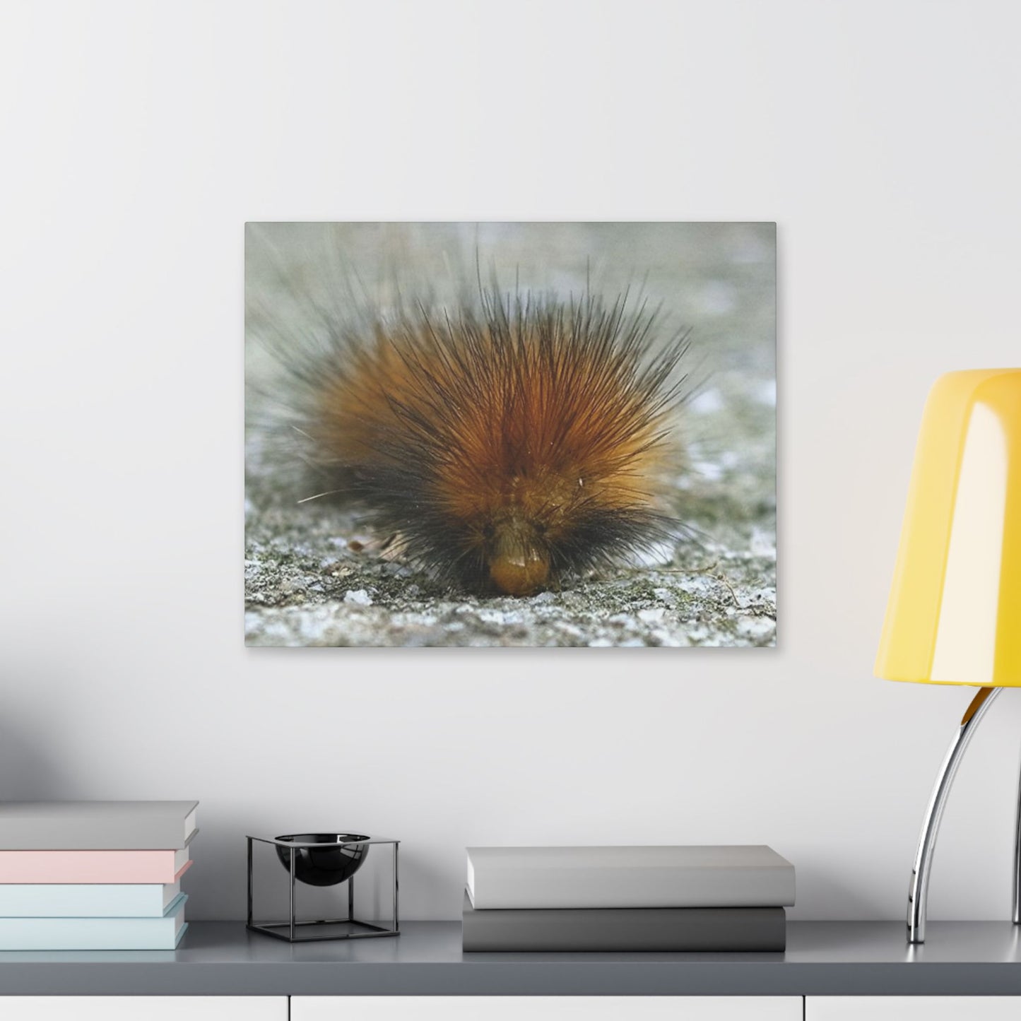 Classic Stretched Canvas - Platypillar
