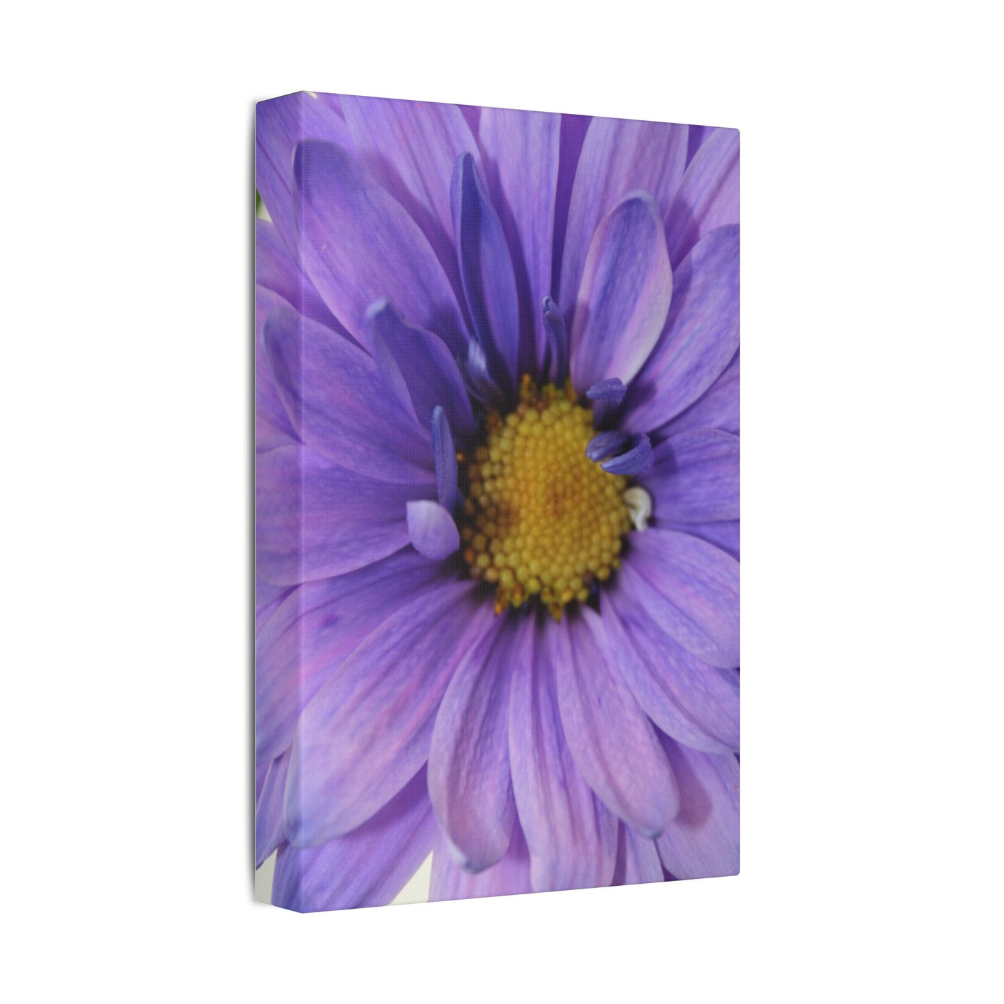 Classic Stretched Canvas