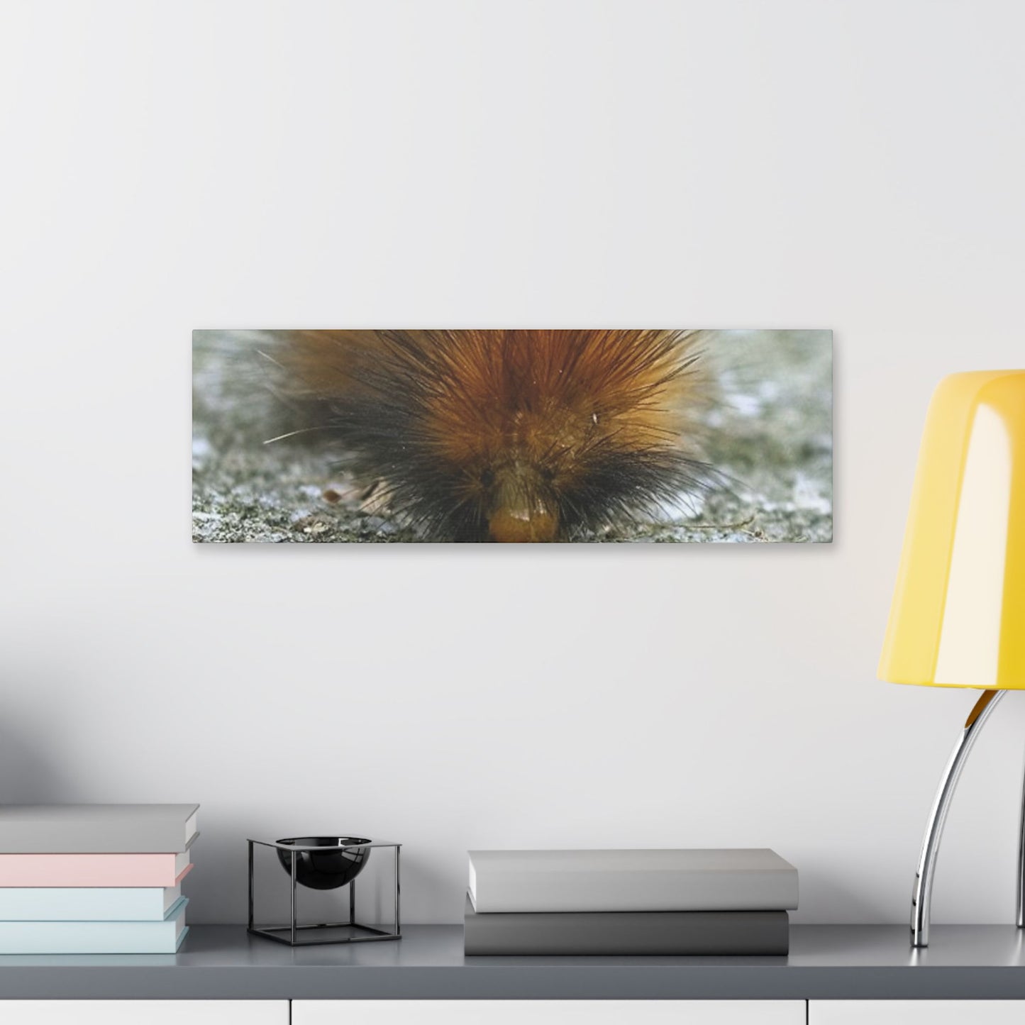 Classic Stretched Canvas - Platypillar
