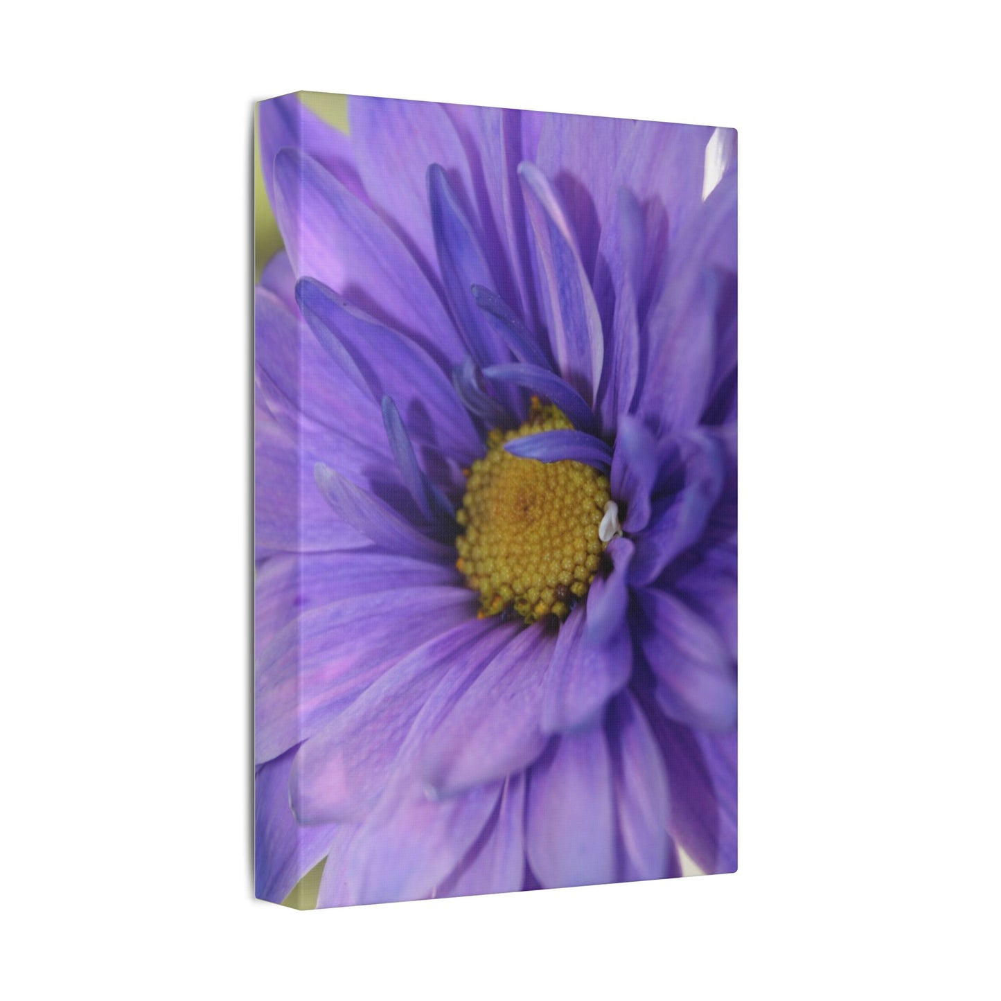 Classic Stretched Canvas