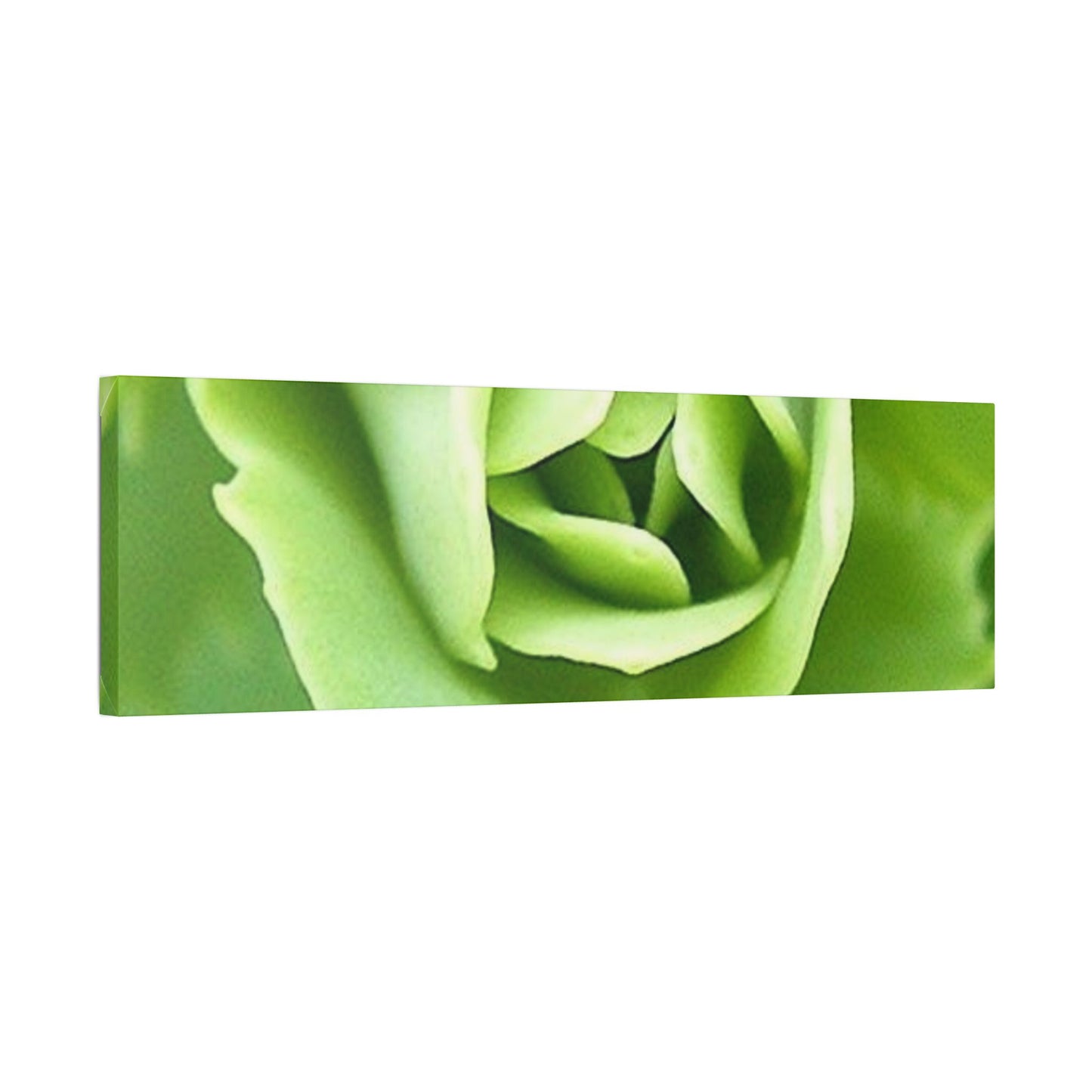 Classic Stretched Canvas