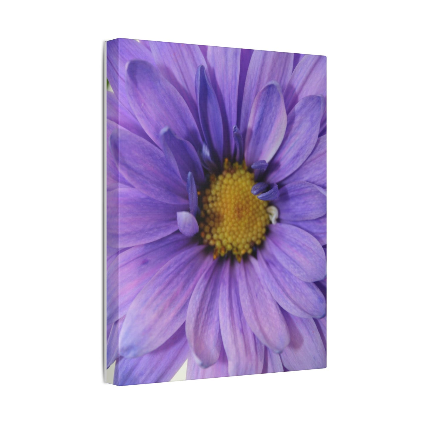 Classic Stretched Canvas