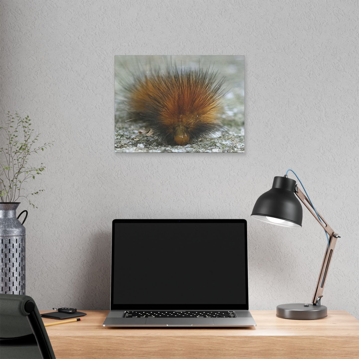 Classic Stretched Canvas - Platypillar