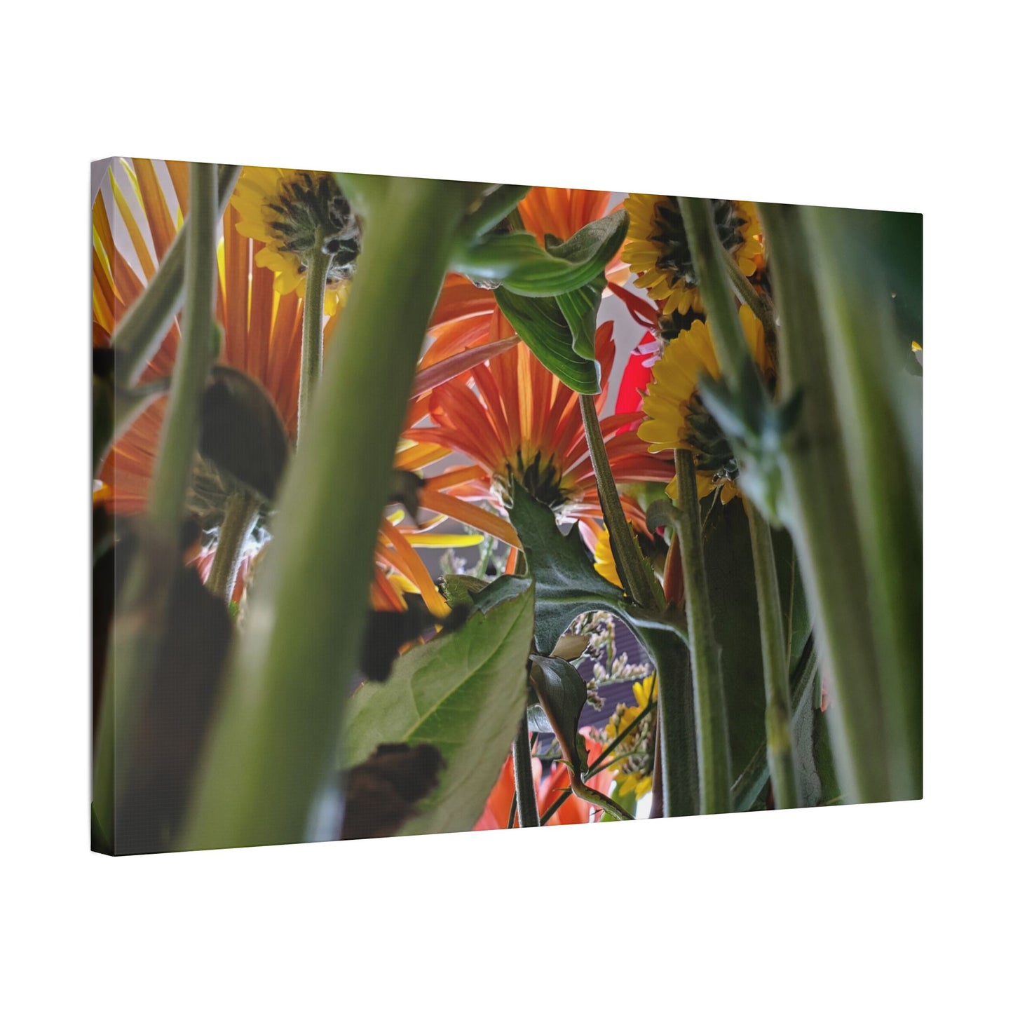 Classic Stretched Canvas