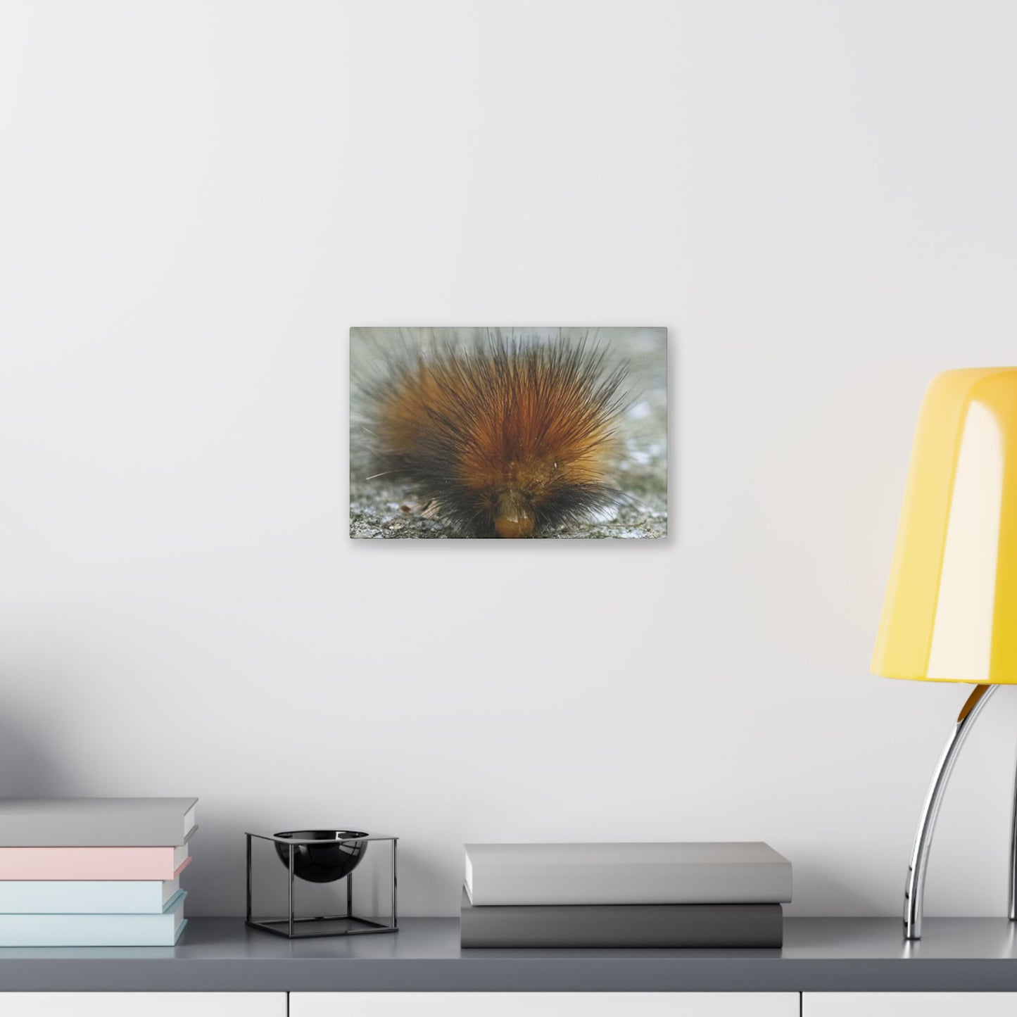 Classic Stretched Canvas - Platypillar