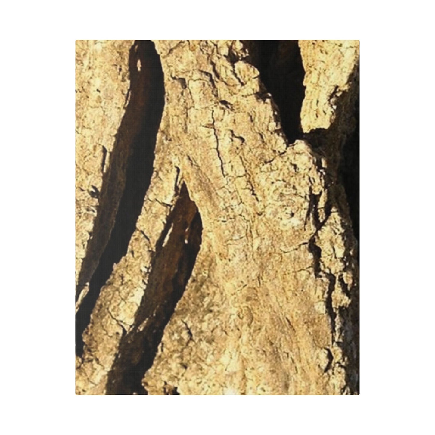 Classic Stretched Canvas - Wood