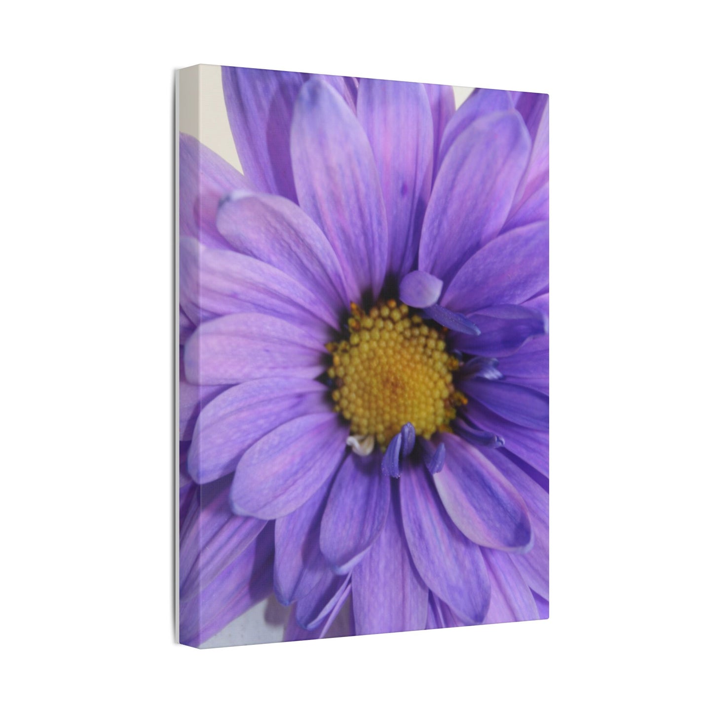Classic Stretched Canvas