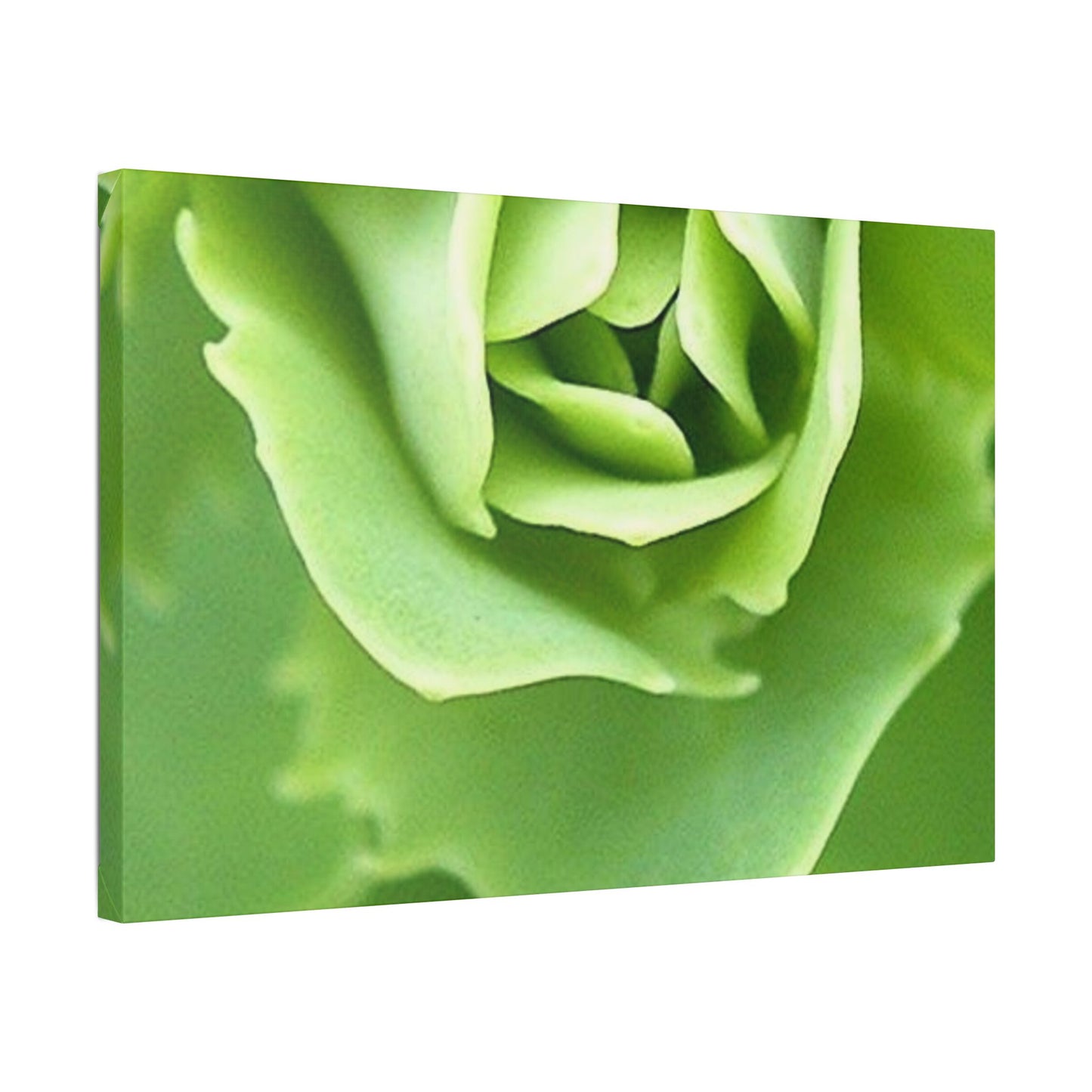 Classic Stretched Canvas