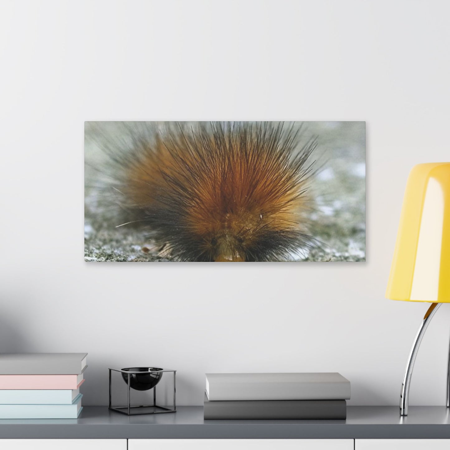 Classic Stretched Canvas - Platypillar