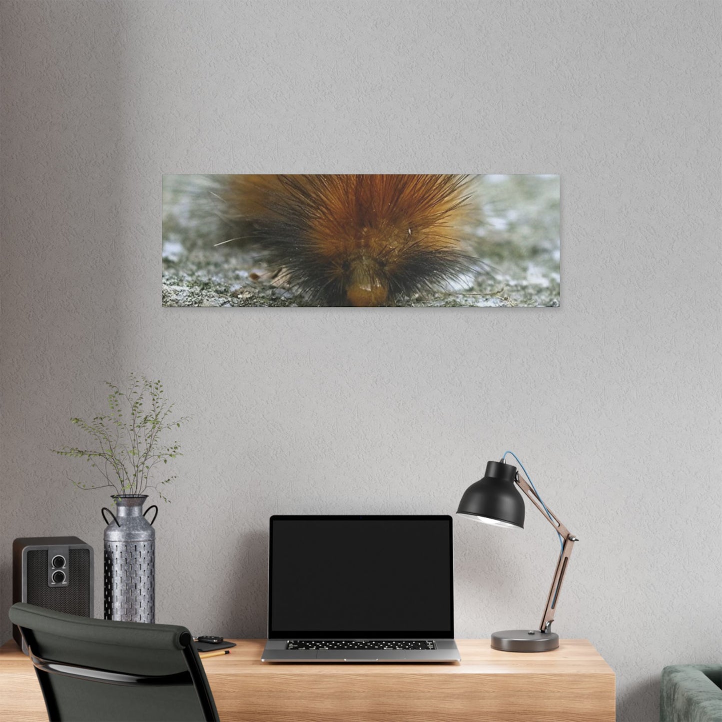 Classic Stretched Canvas - Platypillar
