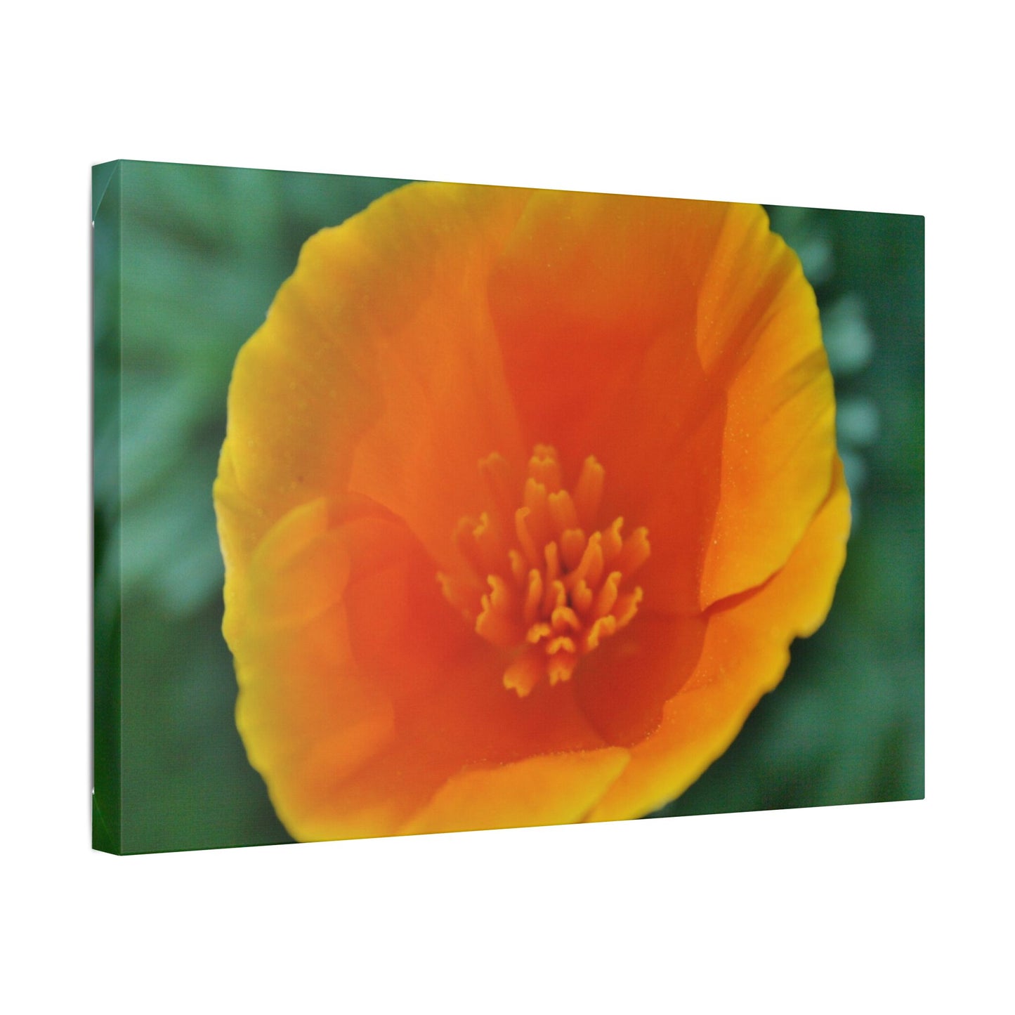 Classic Stretched Canvas
