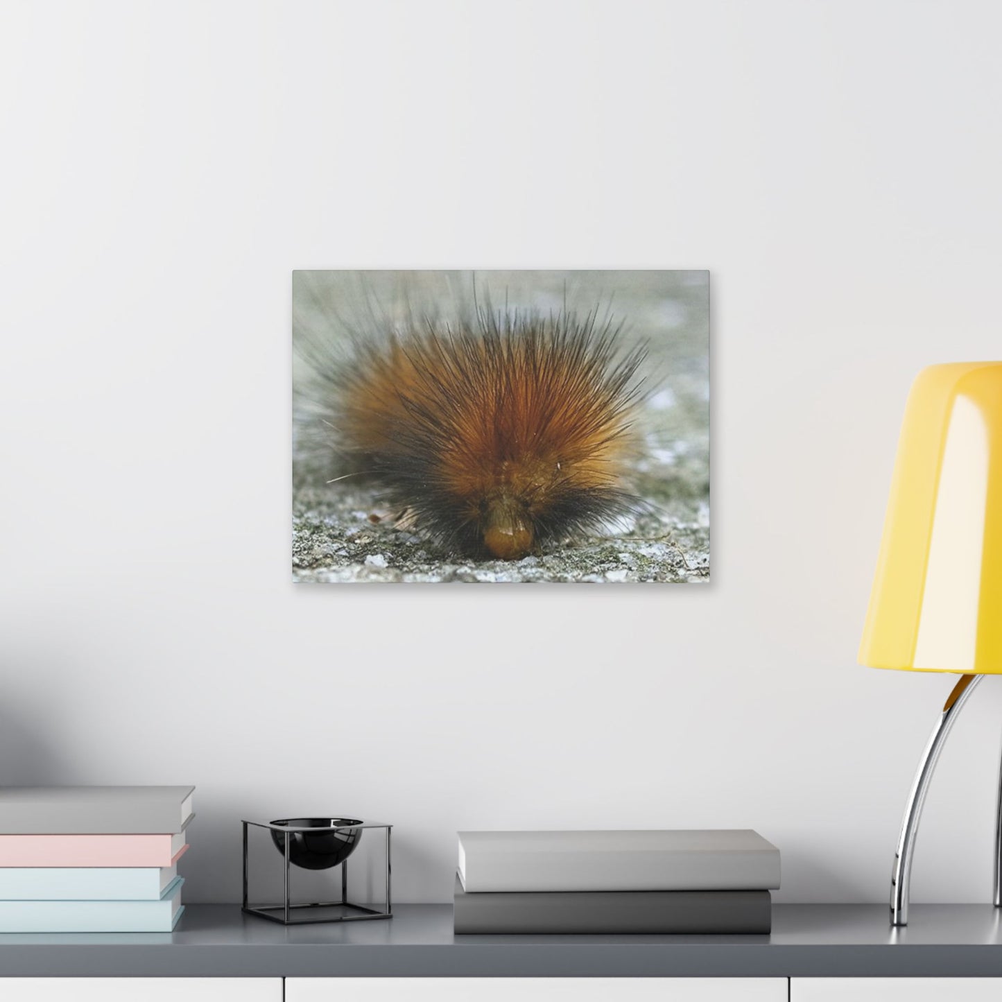 Classic Stretched Canvas - Platypillar