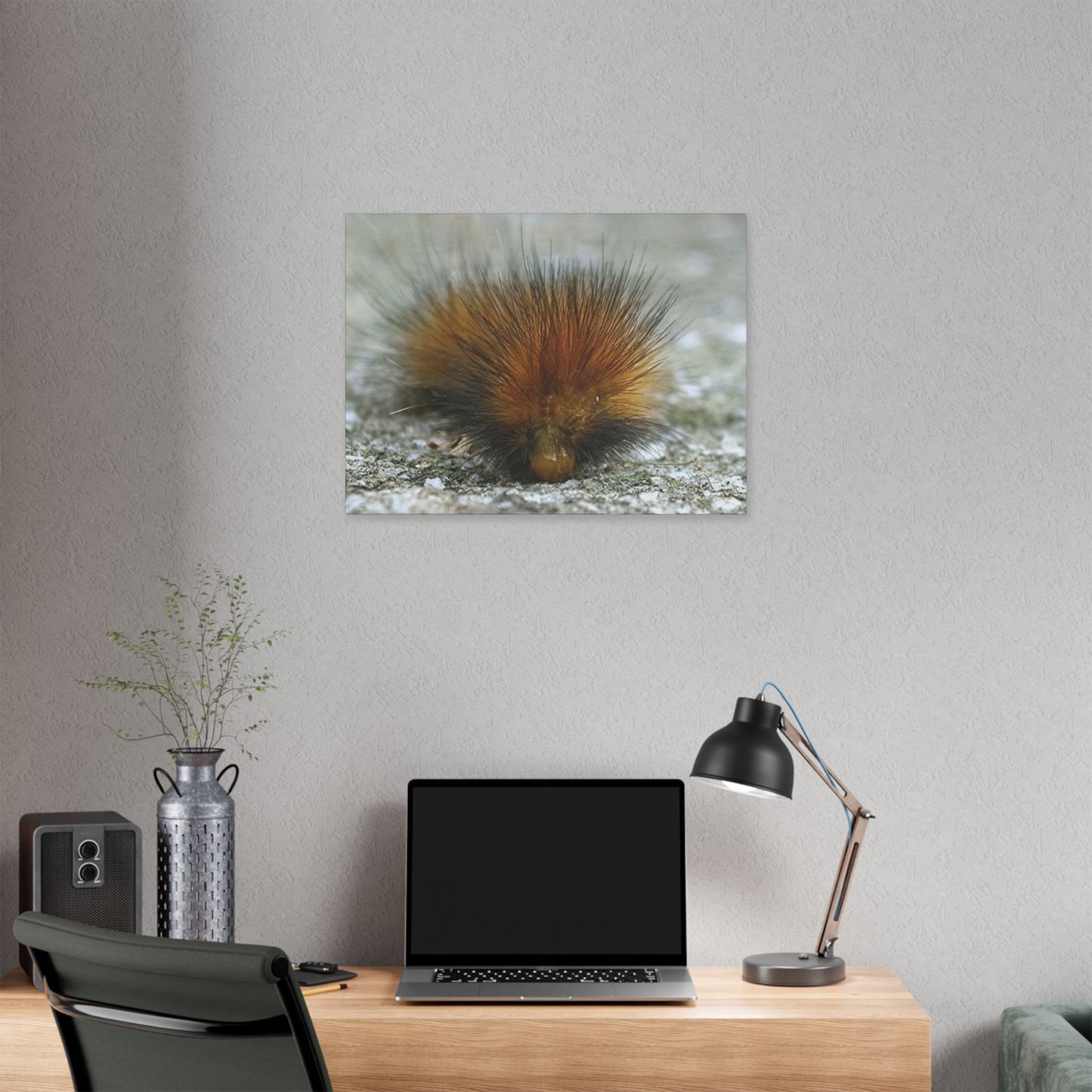 Classic Stretched Canvas - Platypillar