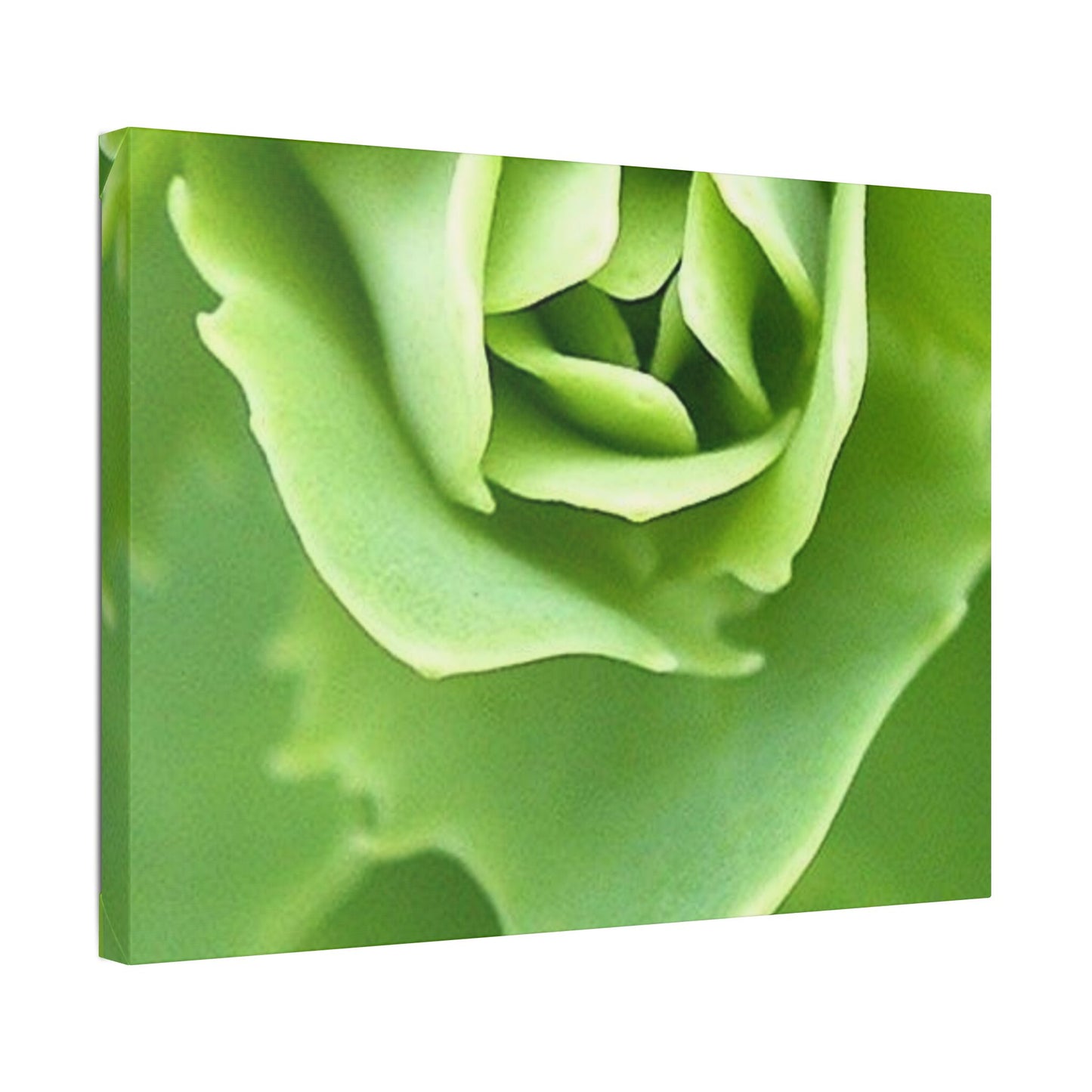 Classic Stretched Canvas