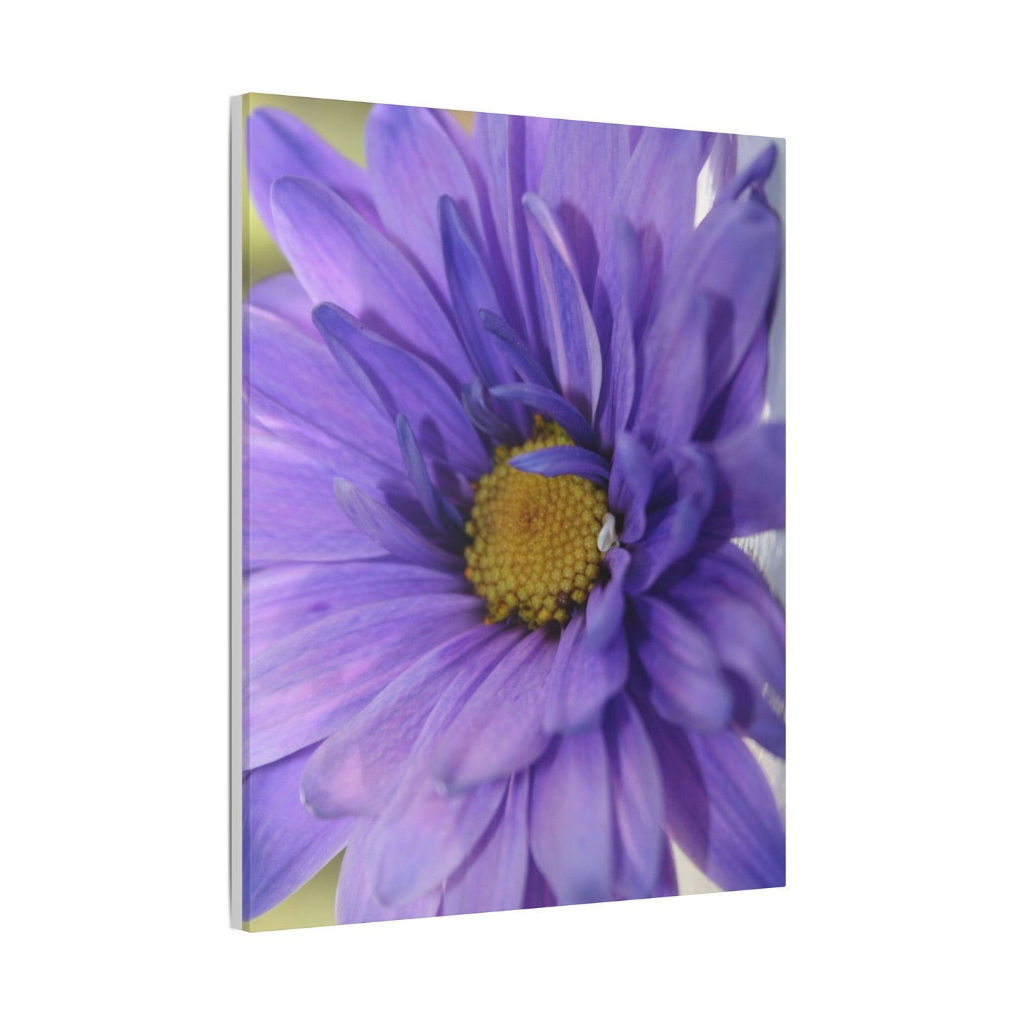 Classic Stretched Canvas