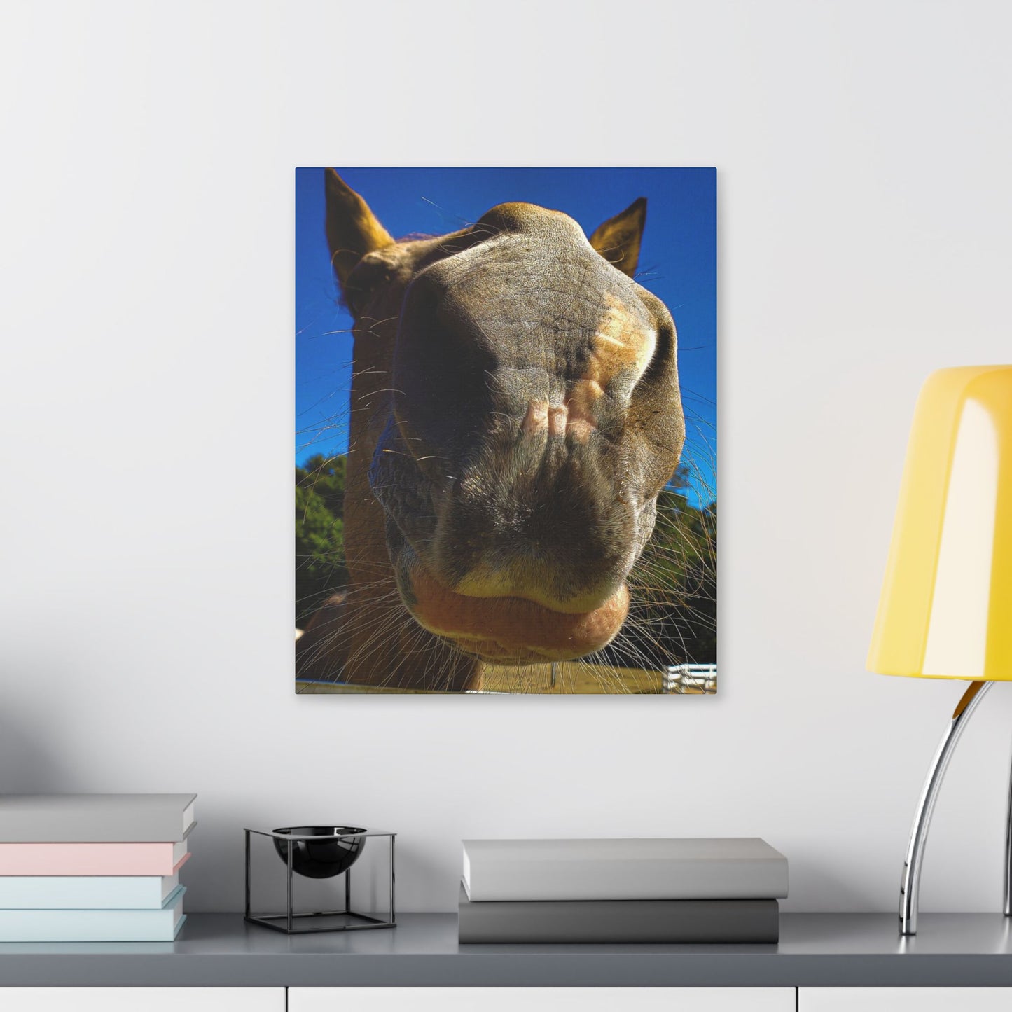 Classic Stretched Canvas - Its A Horse Of Course