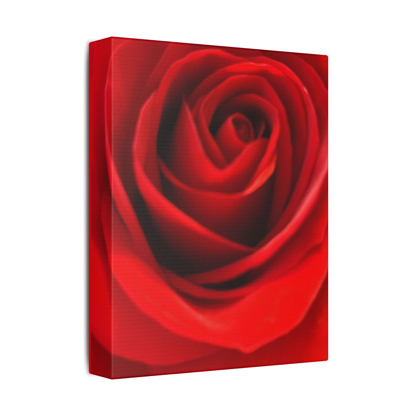 Classic Stretched Canvas - Rose