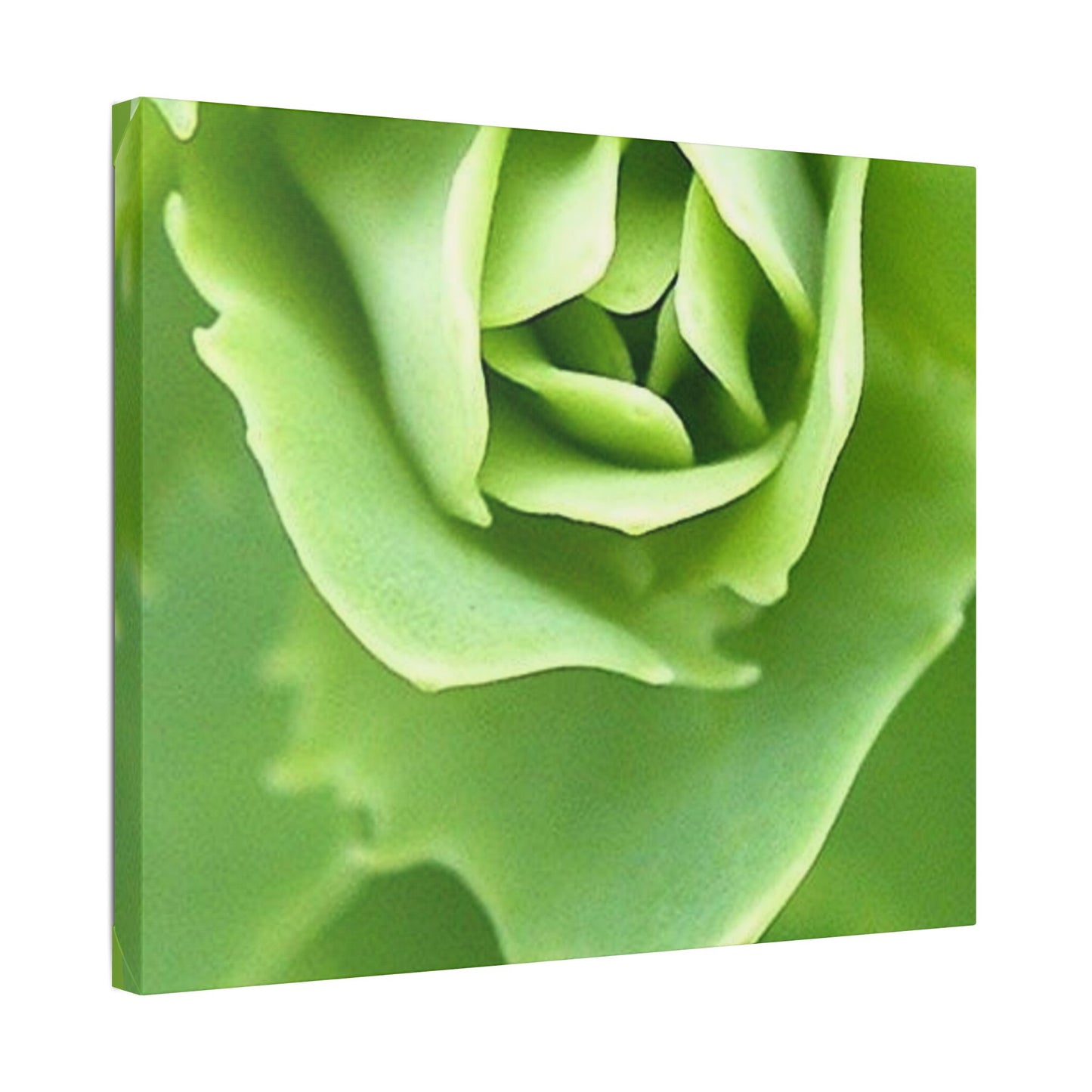 Classic Stretched Canvas