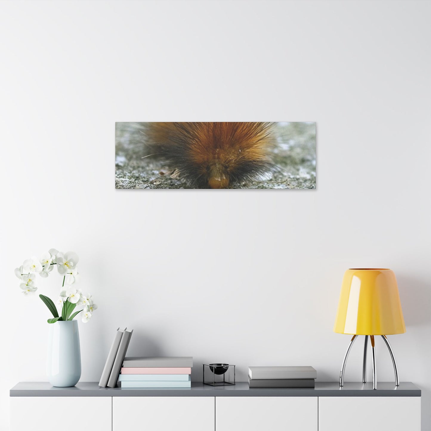 Classic Stretched Canvas - Platypillar