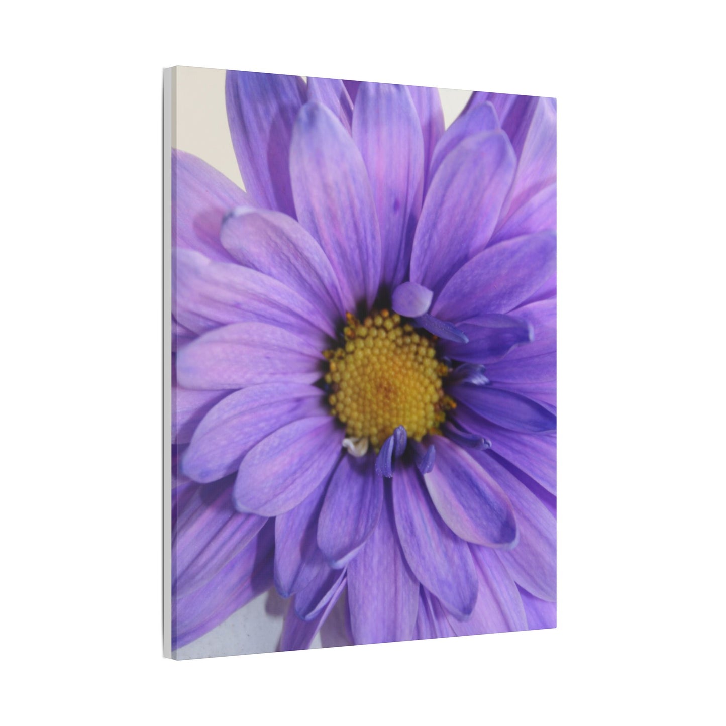 Classic Stretched Canvas