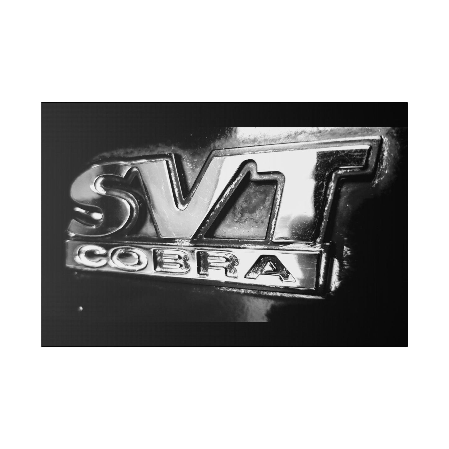 Classic Stretched Canvas - SVT Cobra