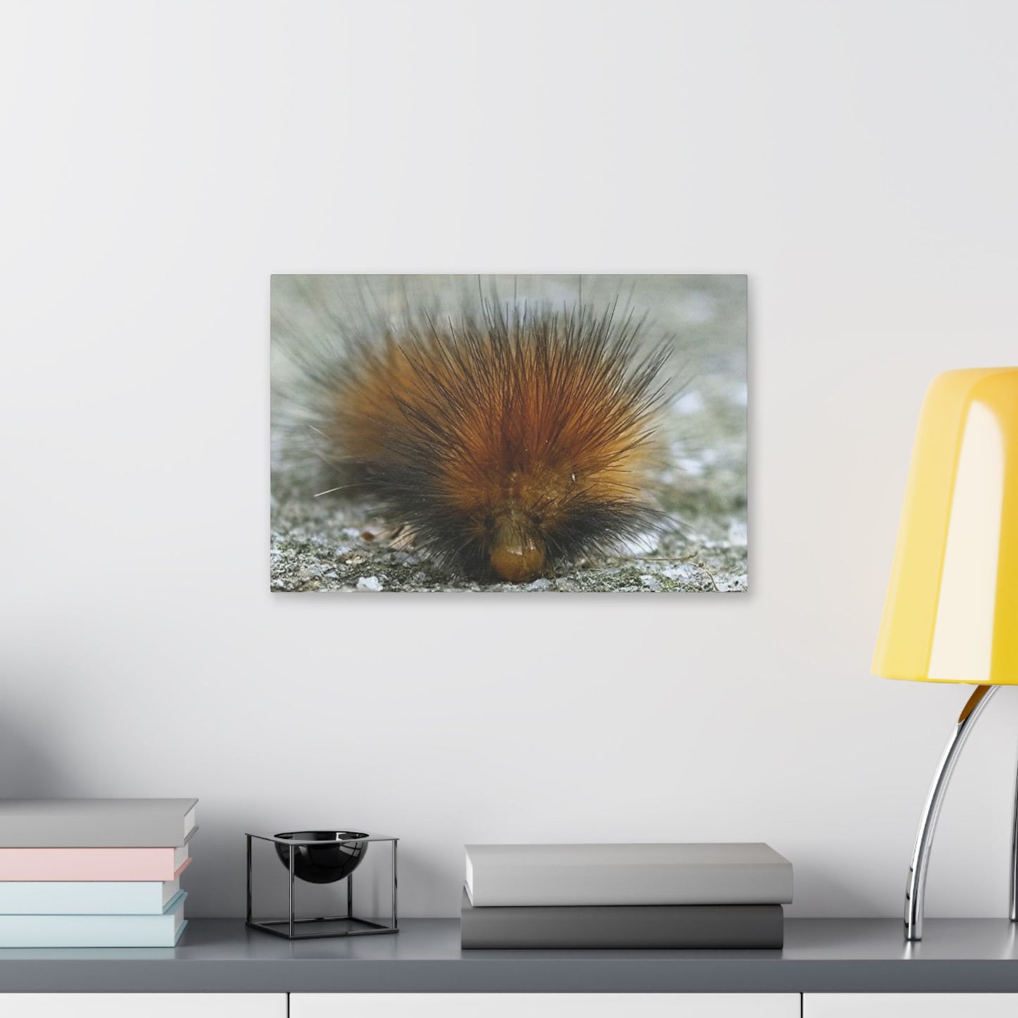 Classic Stretched Canvas - Platypillar