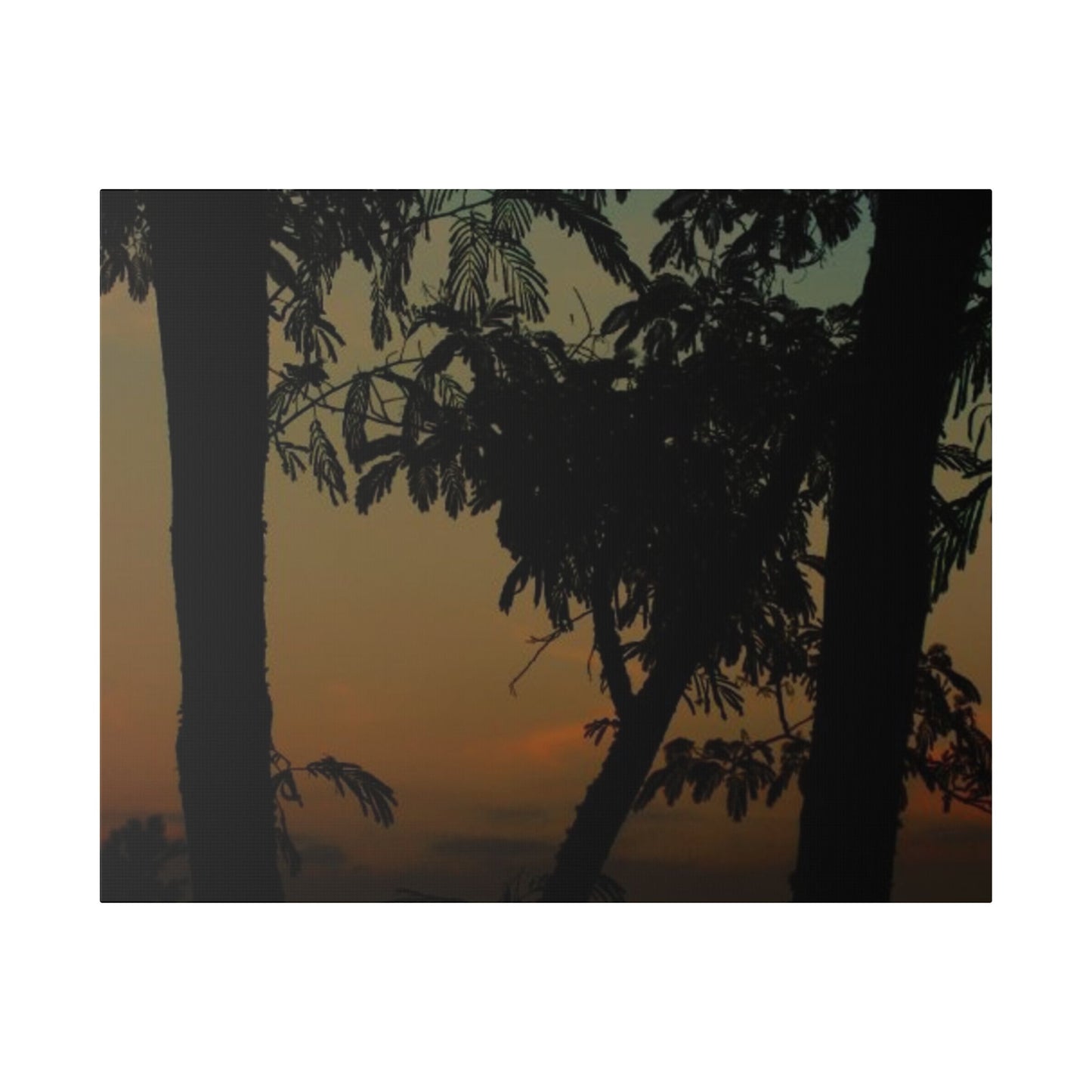 Classic Stretched Canvas