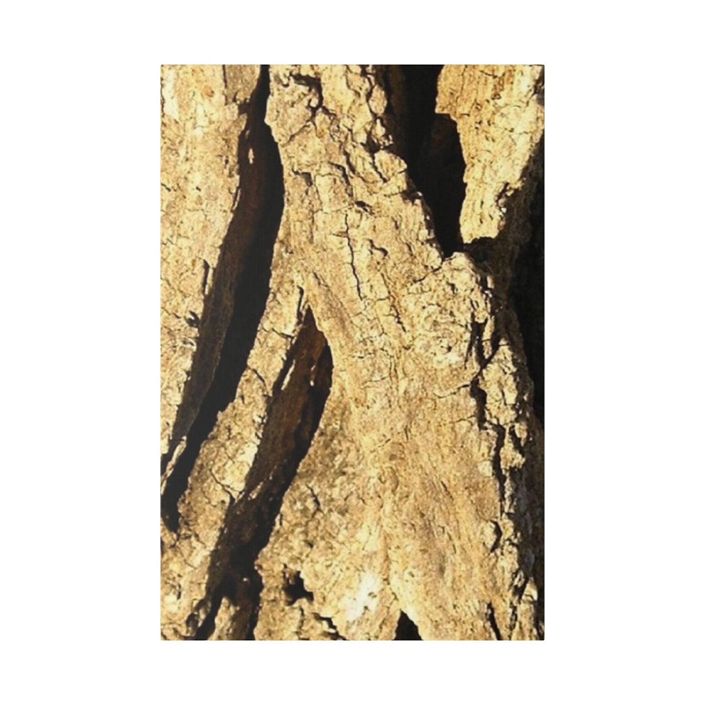 Classic Stretched Canvas - Wood