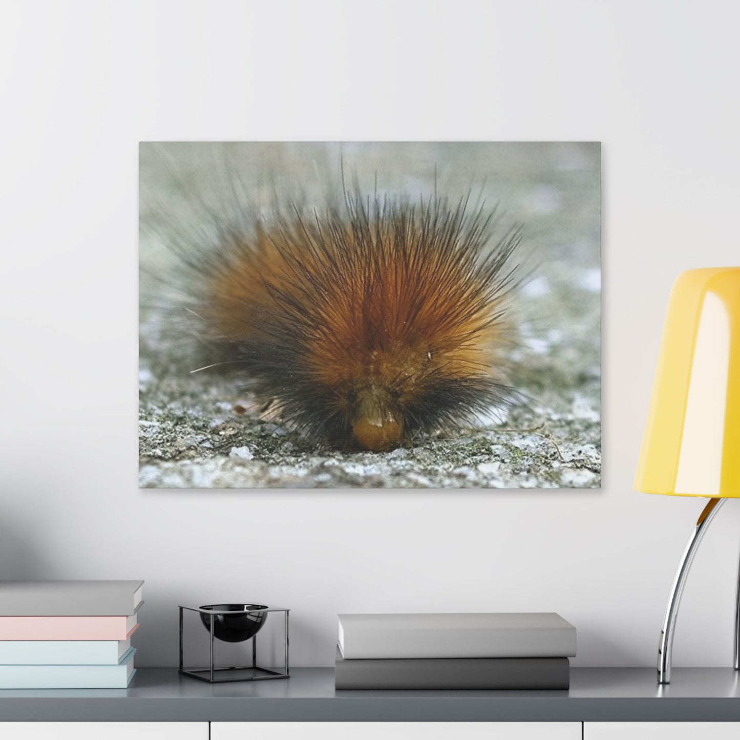 Classic Stretched Canvas - Platypillar
