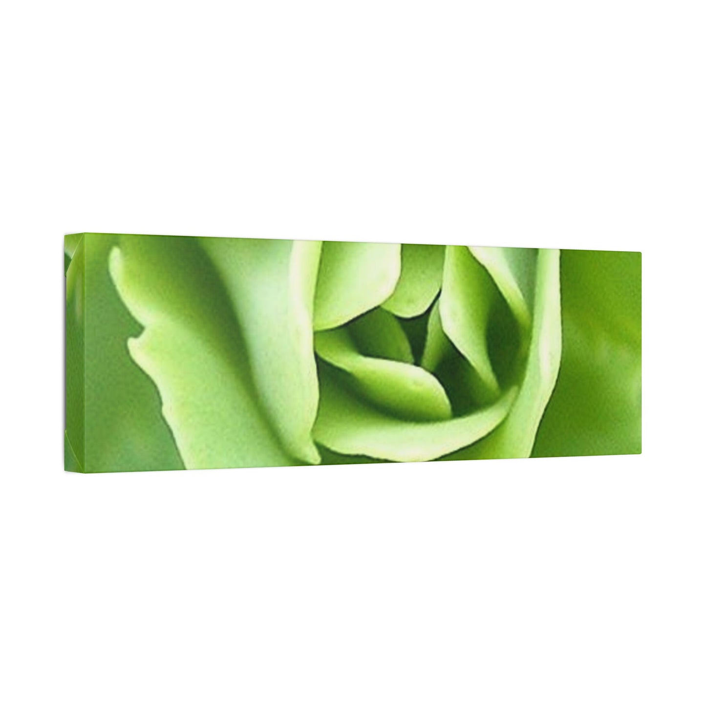 Classic Stretched Canvas