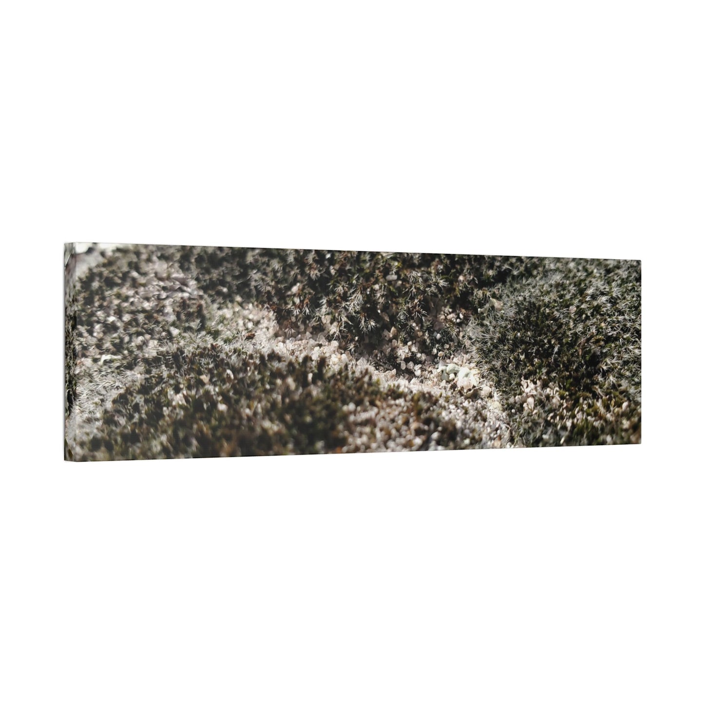 Classic Stretched Canvas - Moss